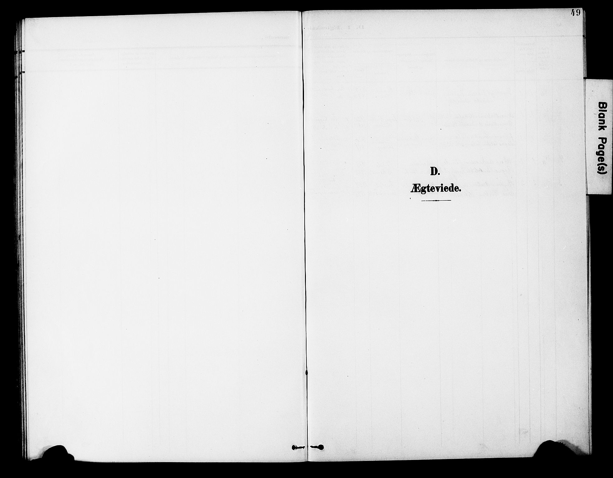 Ministerialprotokoller, klokkerbøker og fødselsregistre - Nord-Trøndelag, SAT/A-1458/746/L0452: Parish register (official) no. 746A09, 1900-1908, p. 49