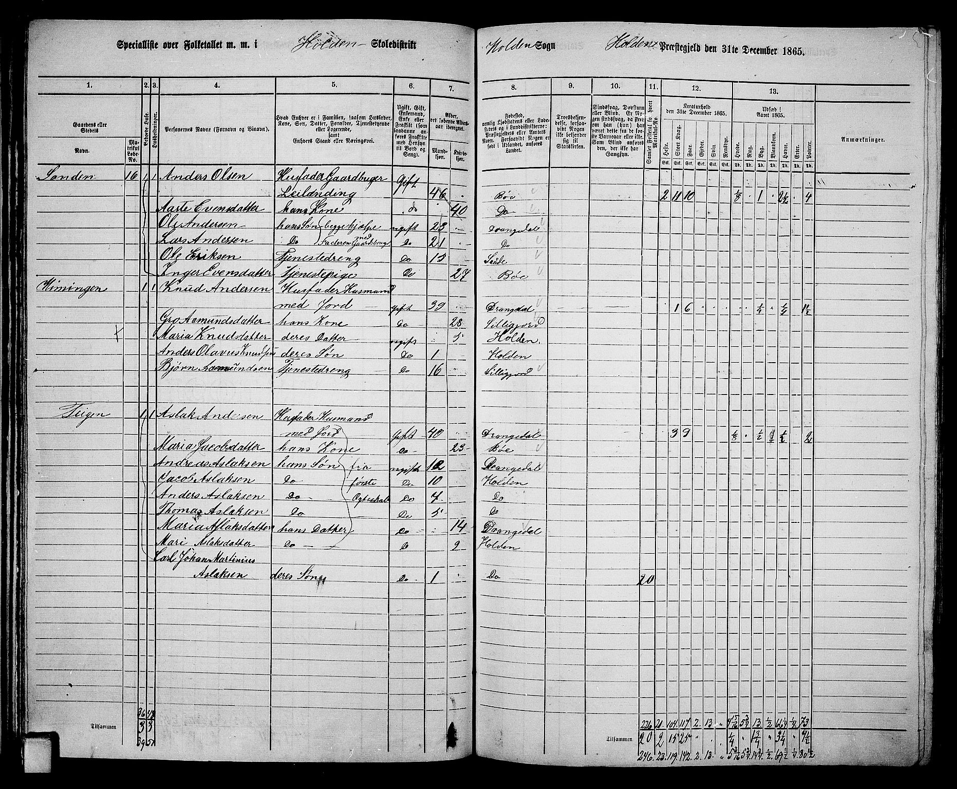 RA, 1865 census for Holla, 1865, p. 38