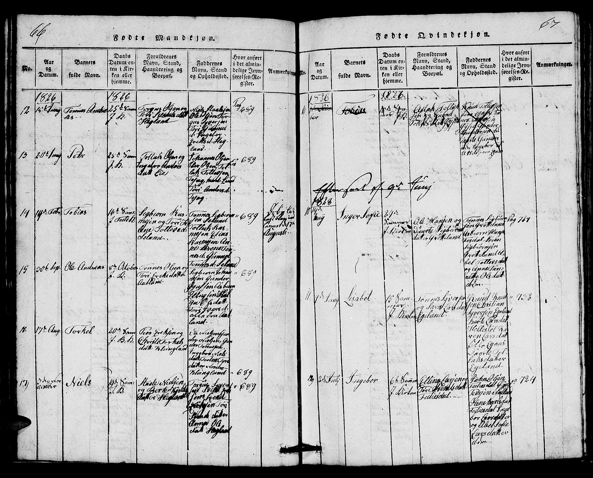 Bakke sokneprestkontor, AV/SAK-1111-0002/F/Fb/Fbb/L0001: Parish register (copy) no. B 1, 1815-1835, p. 66-67