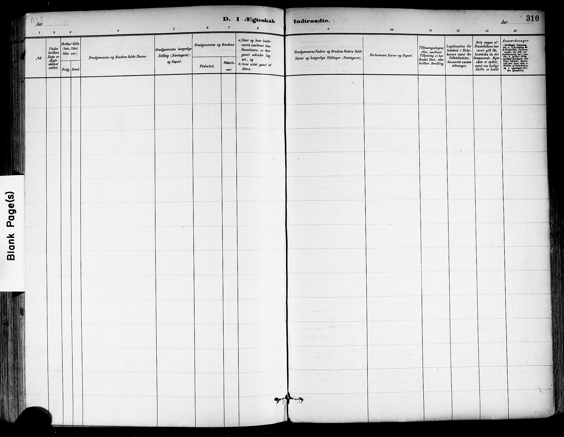 Tønsberg kirkebøker, AV/SAKO-A-330/F/Fa/L0011: Parish register (official) no. I 11, 1881-1890, p. 316