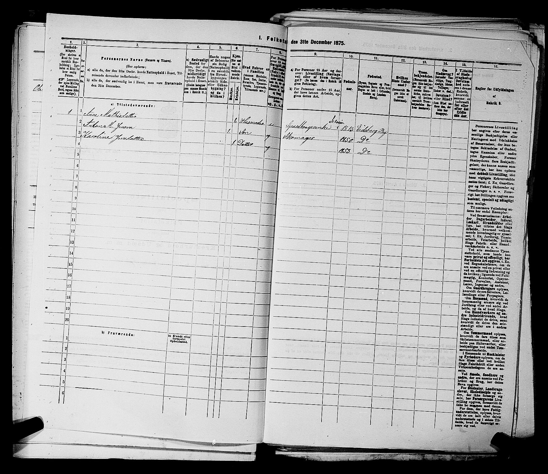 RA, 1875 census for 0125P Eidsberg, 1875, p. 1208