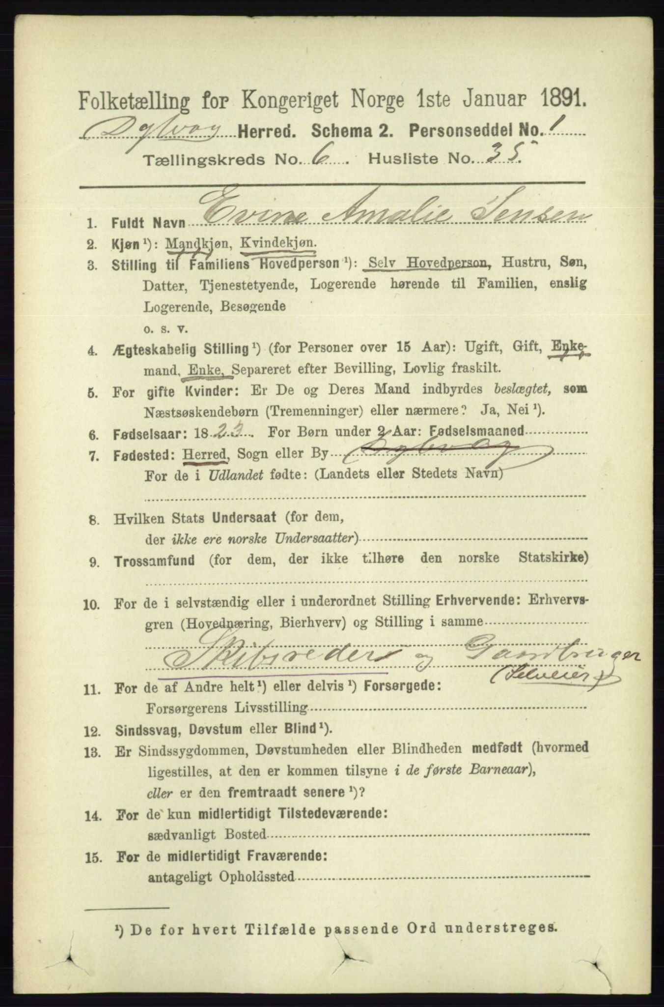 RA, 1891 census for 0915 Dypvåg, 1891, p. 1973