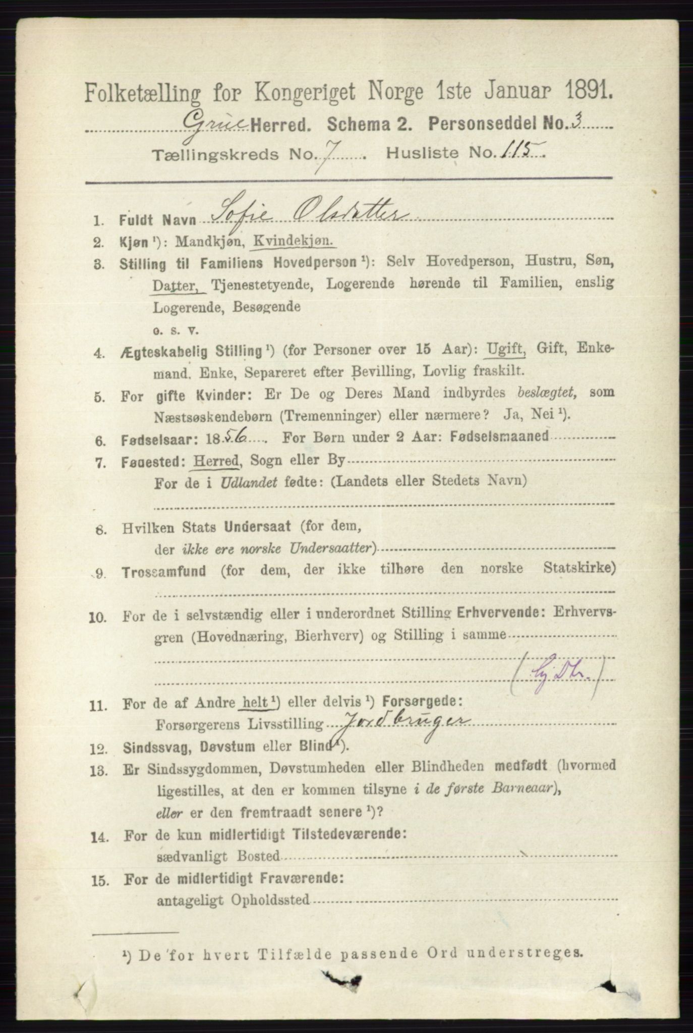 RA, 1891 census for 0423 Grue, 1891, p. 4231