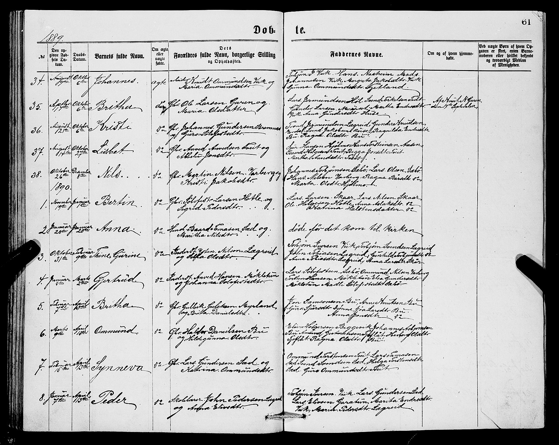 Ullensvang sokneprestembete, SAB/A-78701/H/Hab: Parish register (copy) no. C 2, 1871-1899, p. 61