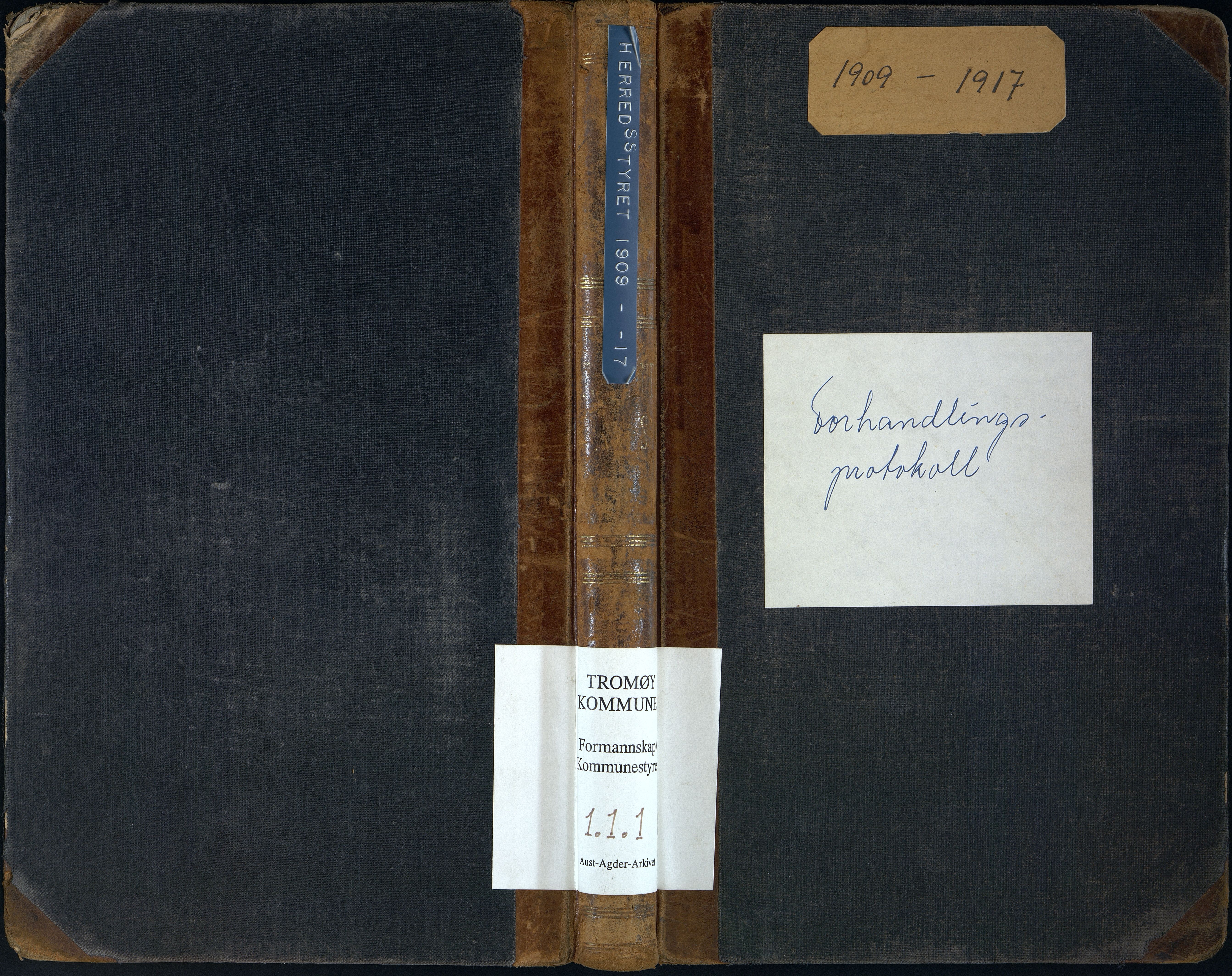 Tromøy kommune frem til 1971, AAKS/KA0921-PK/01/L0001: Kommunestyre møtebok, 1909-1917