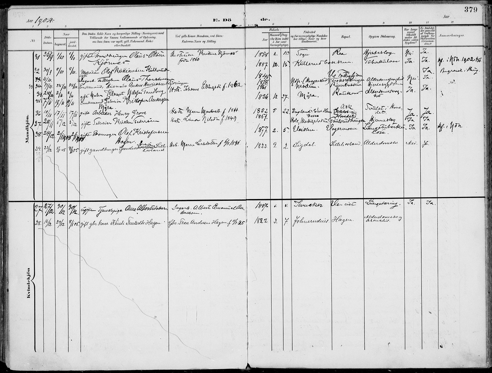 Norderhov kirkebøker, AV/SAKO-A-237/F/Fa/L0017: Parish register (official) no. 17, 1903-1919, p. 379