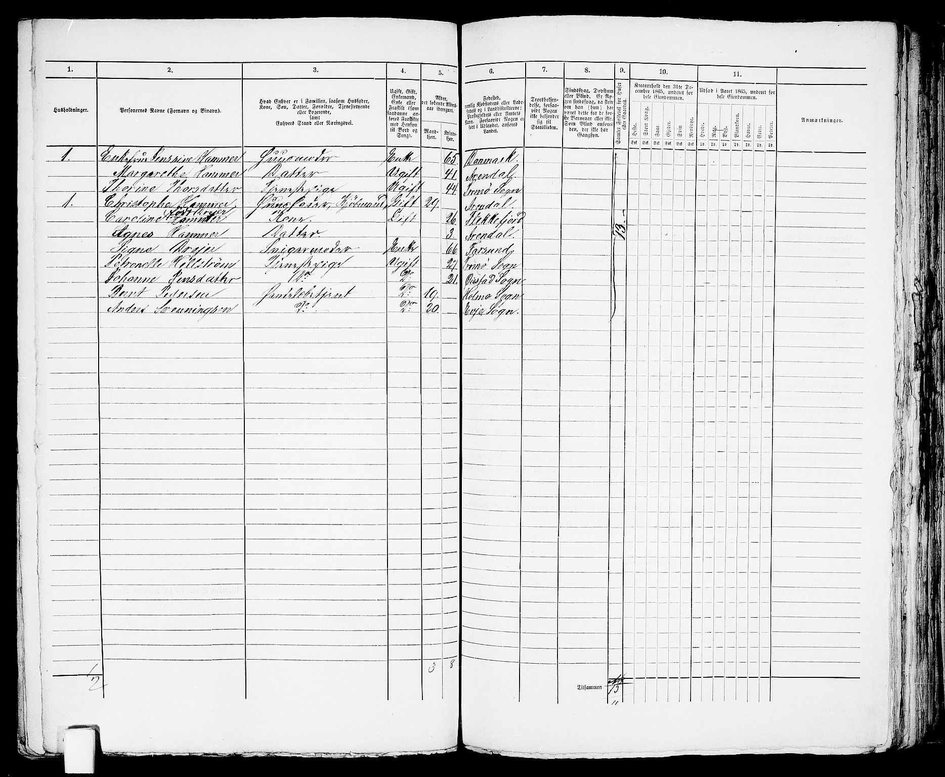 RA, 1865 census for Arendal, 1865, p. 536