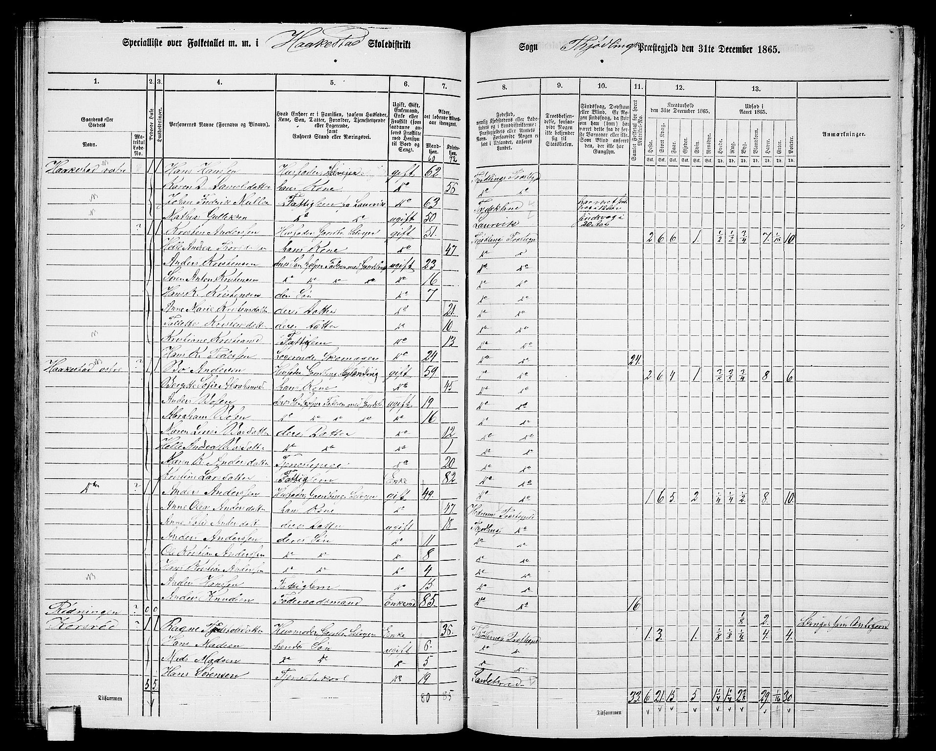 RA, 1865 census for Tjølling, 1865, p. 82