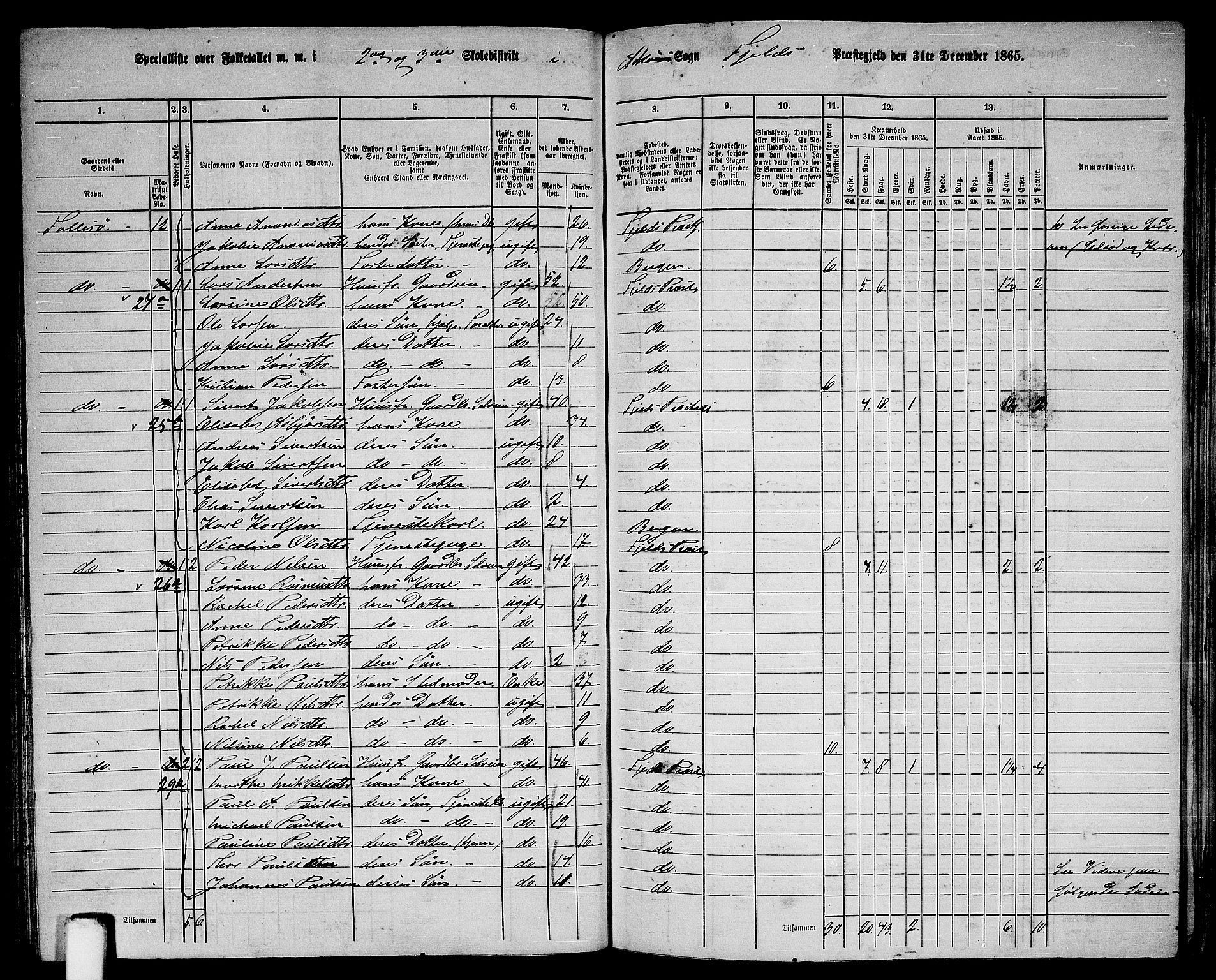 RA, 1865 census for Fjell, 1865, p. 132