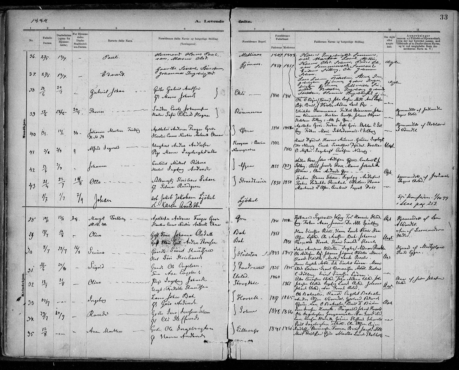 Ministerialprotokoller, klokkerbøker og fødselsregistre - Sør-Trøndelag, SAT/A-1456/668/L0809: Parish register (official) no. 668A09, 1881-1895, p. 33