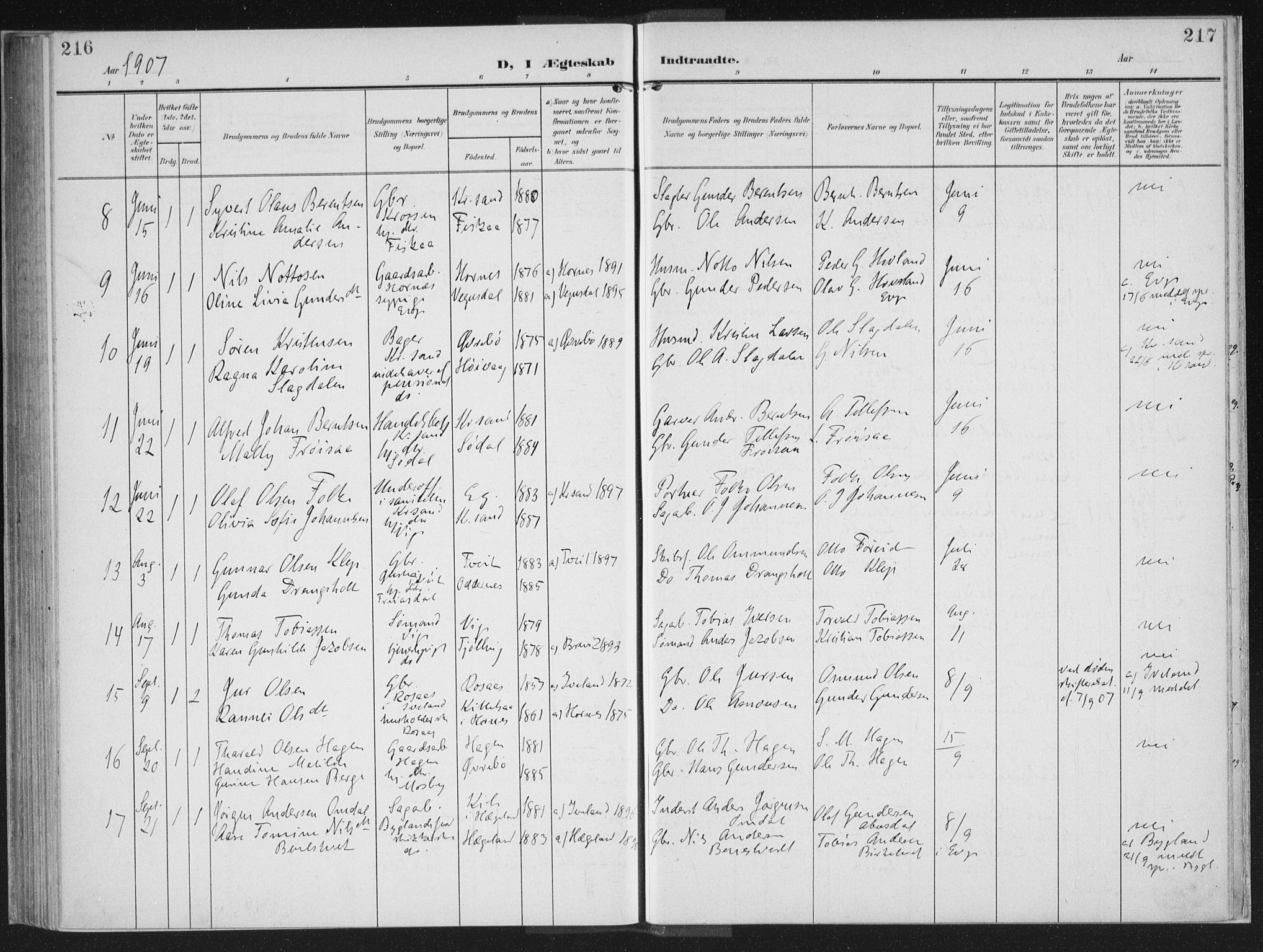 Oddernes sokneprestkontor, AV/SAK-1111-0033/F/Fa/Faa/L0011: Parish register (official) no. A 11, 1904-1911, p. 216-217