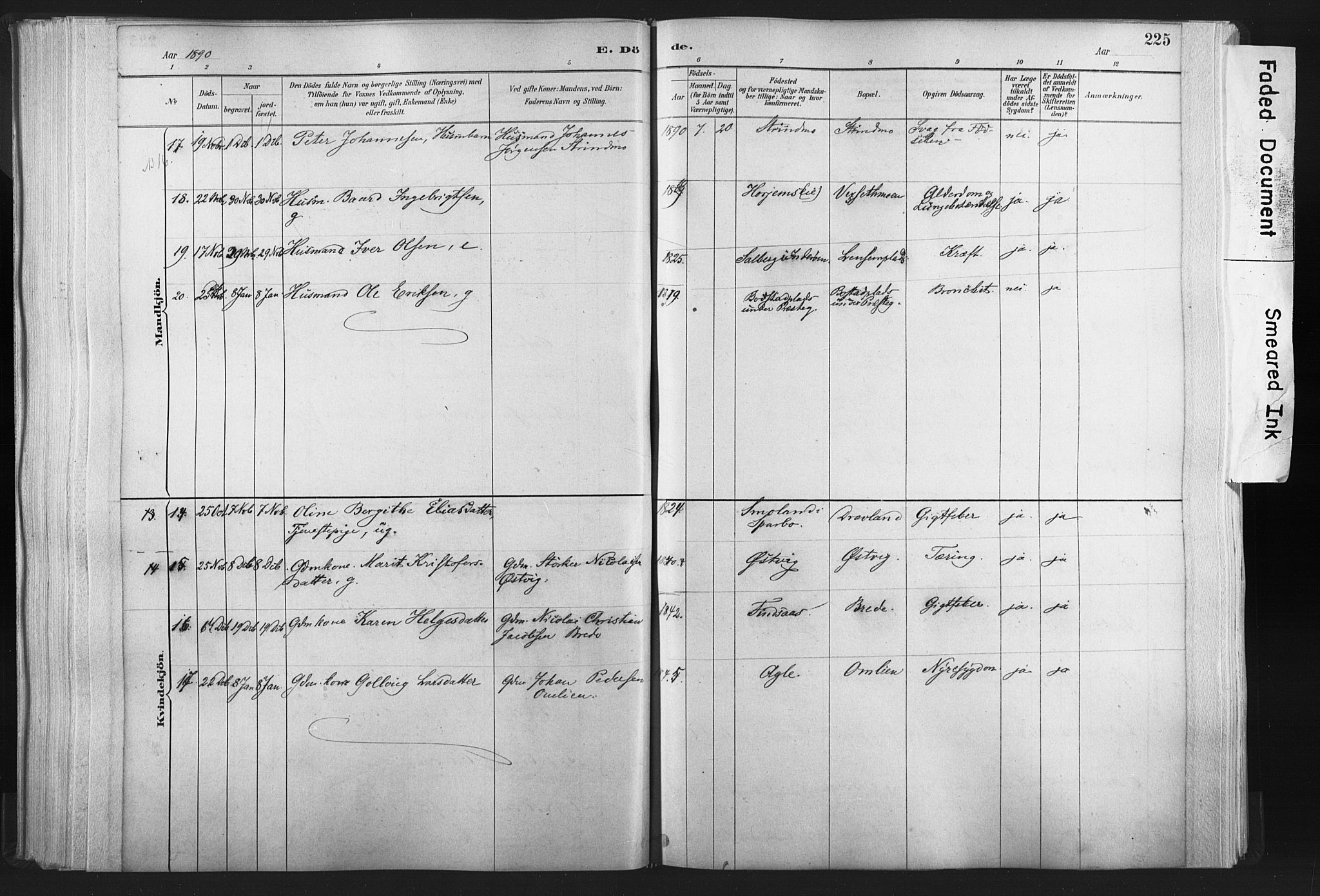 Ministerialprotokoller, klokkerbøker og fødselsregistre - Nord-Trøndelag, AV/SAT-A-1458/749/L0474: Parish register (official) no. 749A08, 1887-1903, p. 225