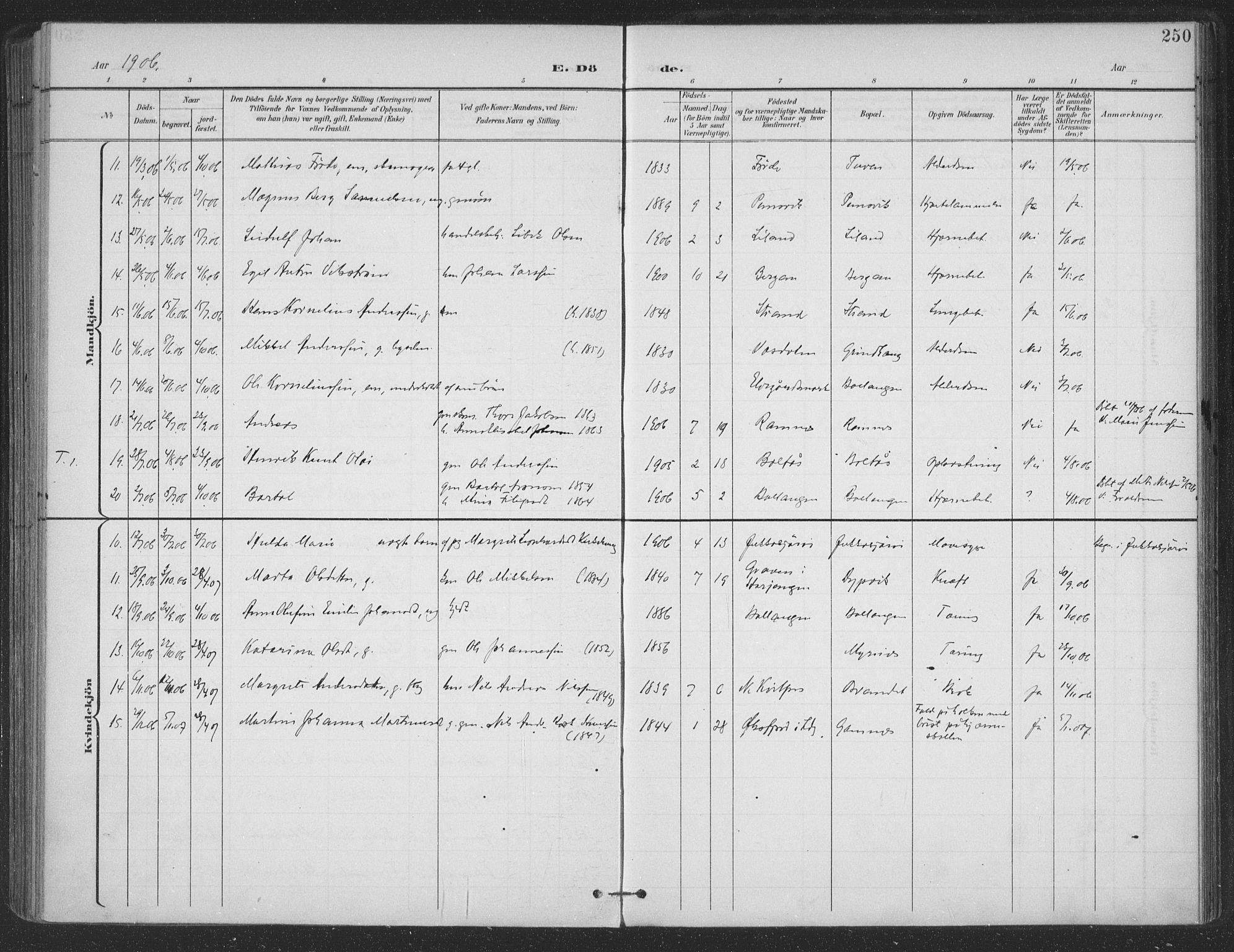 Ministerialprotokoller, klokkerbøker og fødselsregistre - Nordland, SAT/A-1459/863/L0899: Parish register (official) no. 863A11, 1897-1906, p. 250