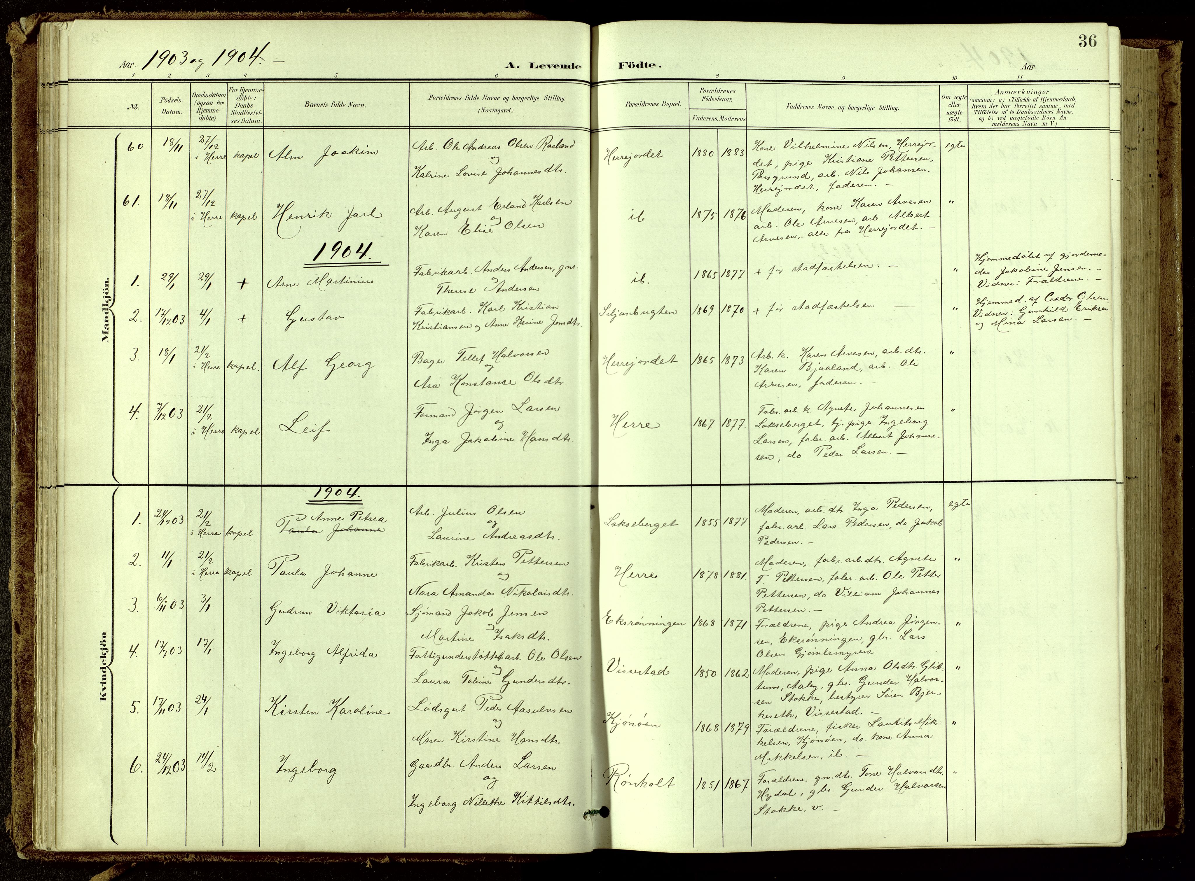 Bamble kirkebøker, SAKO/A-253/G/Ga/L0010: Parish register (copy) no. I 10, 1901-1919, p. 36