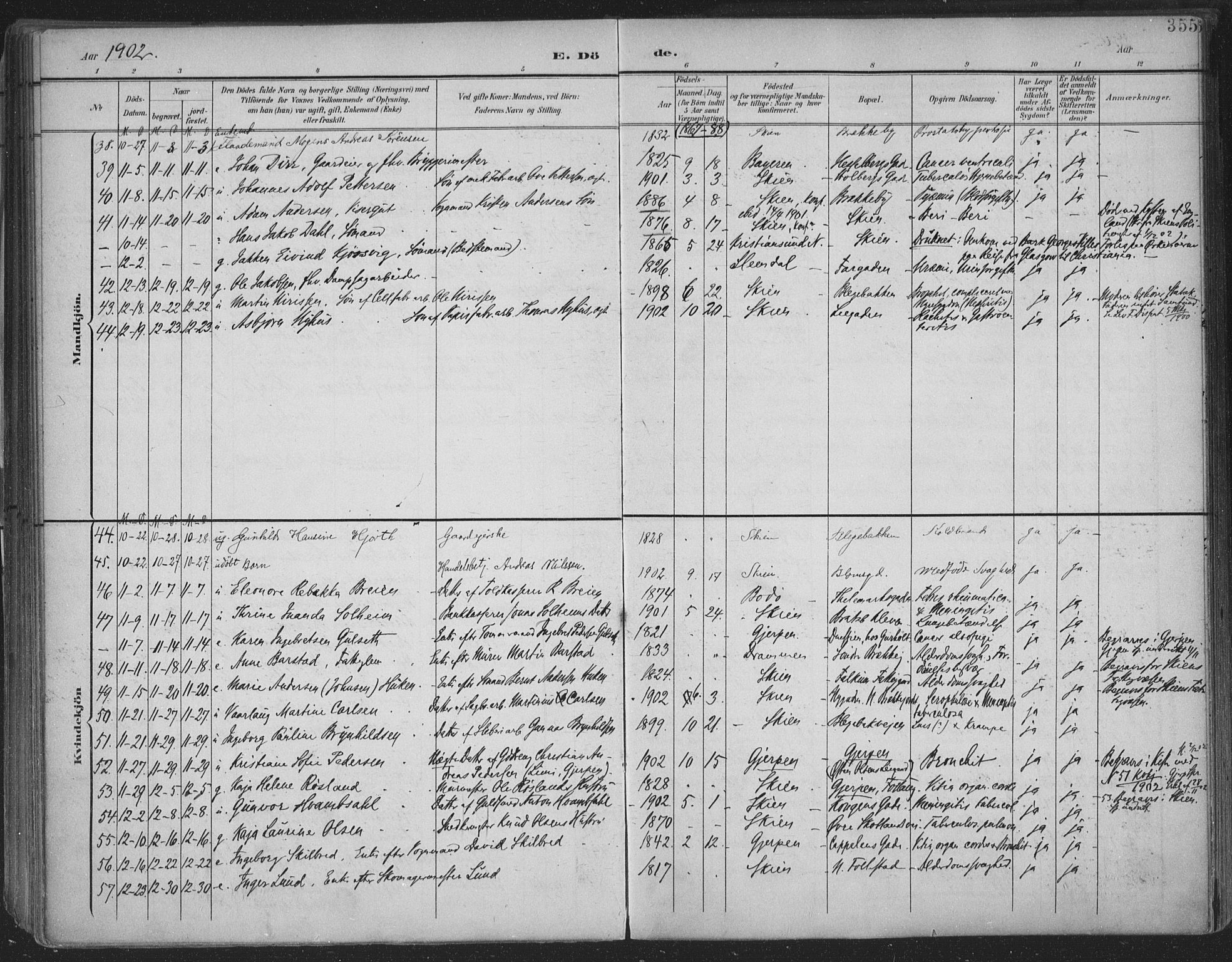 Skien kirkebøker, SAKO/A-302/F/Fa/L0011: Parish register (official) no. 11, 1900-1907, p. 355
