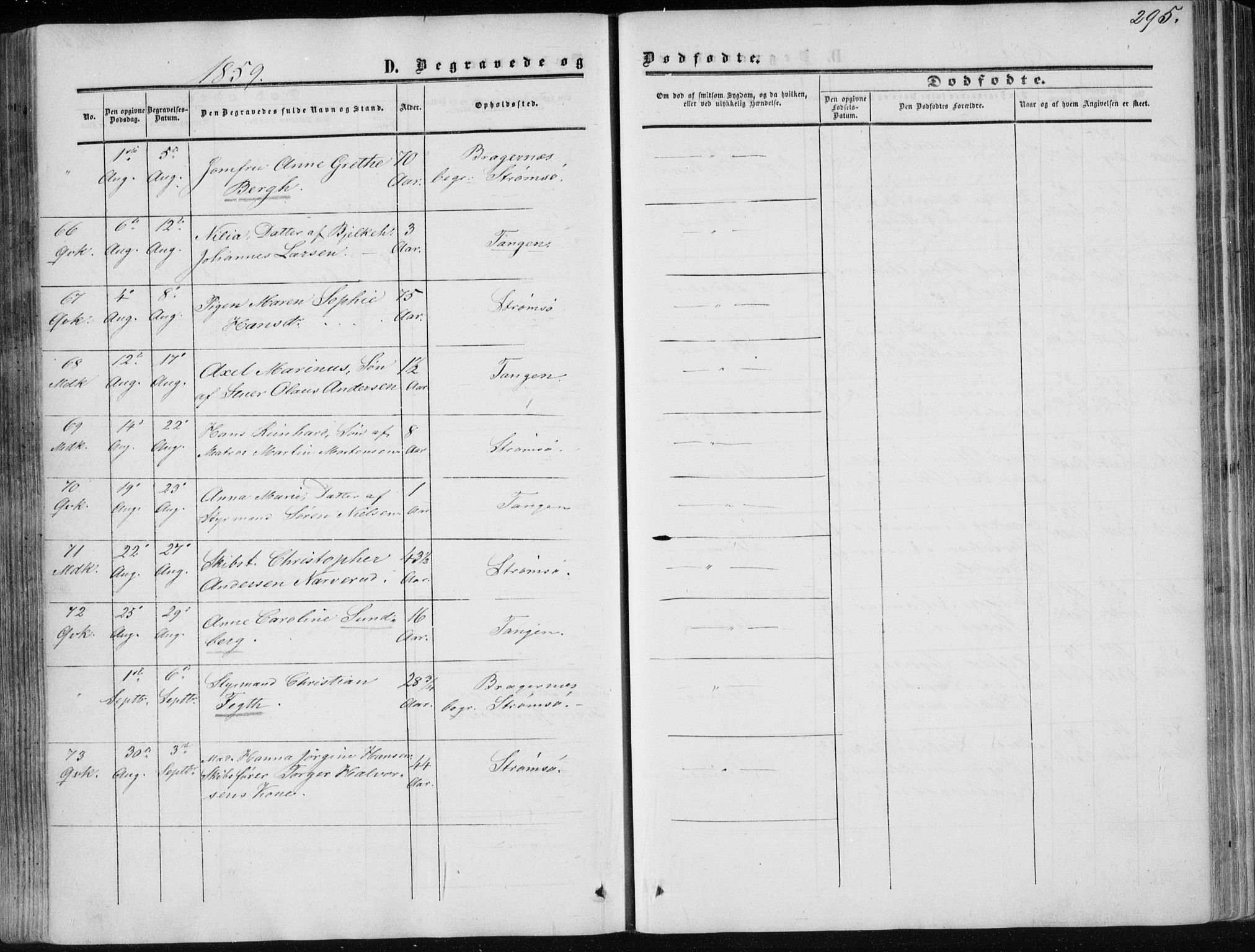 Strømsø kirkebøker, AV/SAKO-A-246/F/Fa/L0015: Parish register (official) no. I 15, 1859-1868, p. 295