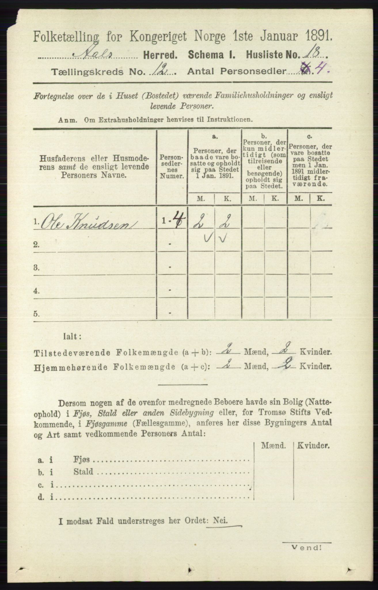 RA, 1891 census for 0619 Ål, 1891, p. 2987