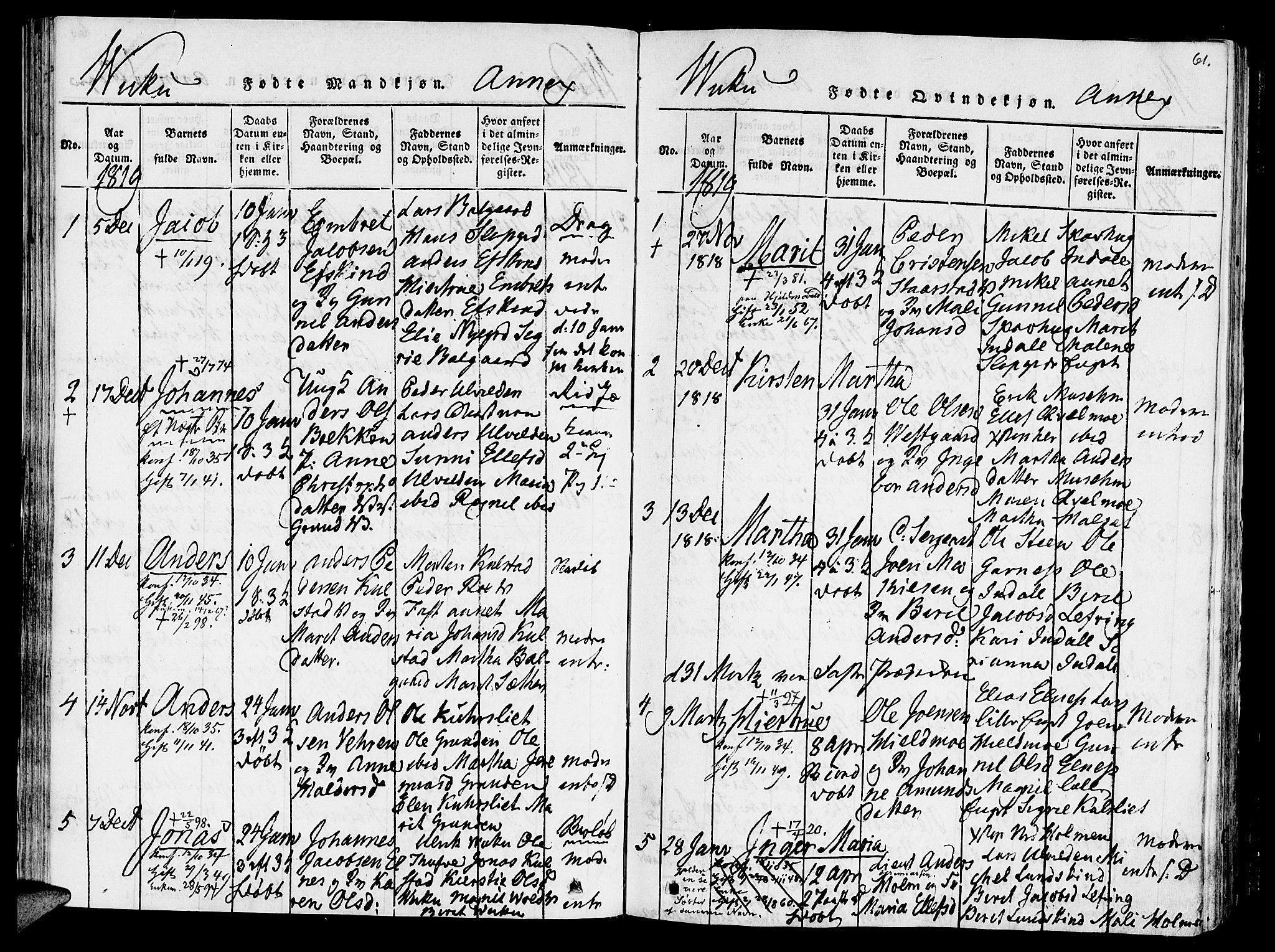 Ministerialprotokoller, klokkerbøker og fødselsregistre - Nord-Trøndelag, SAT/A-1458/723/L0234: Parish register (official) no. 723A05 /2, 1816-1821, p. 61