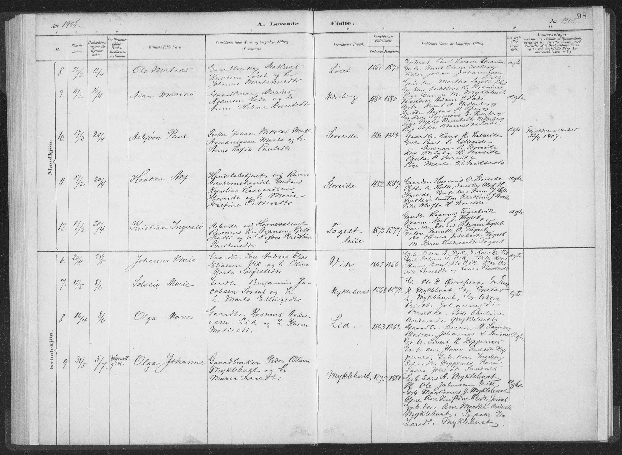 Ministerialprotokoller, klokkerbøker og fødselsregistre - Møre og Romsdal, AV/SAT-A-1454/502/L0025: Parish register (official) no. 502A03, 1885-1909, p. 98