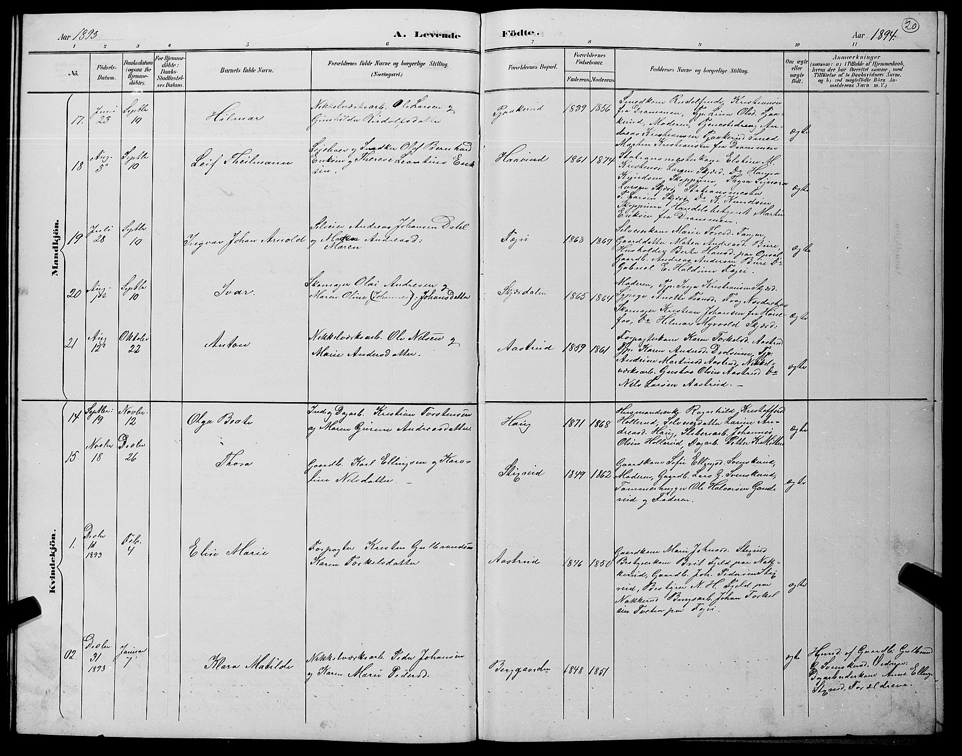 Hole kirkebøker, AV/SAKO-A-228/G/Gb/L0003: Parish register (copy) no. II 3, 1890-1901, p. 20