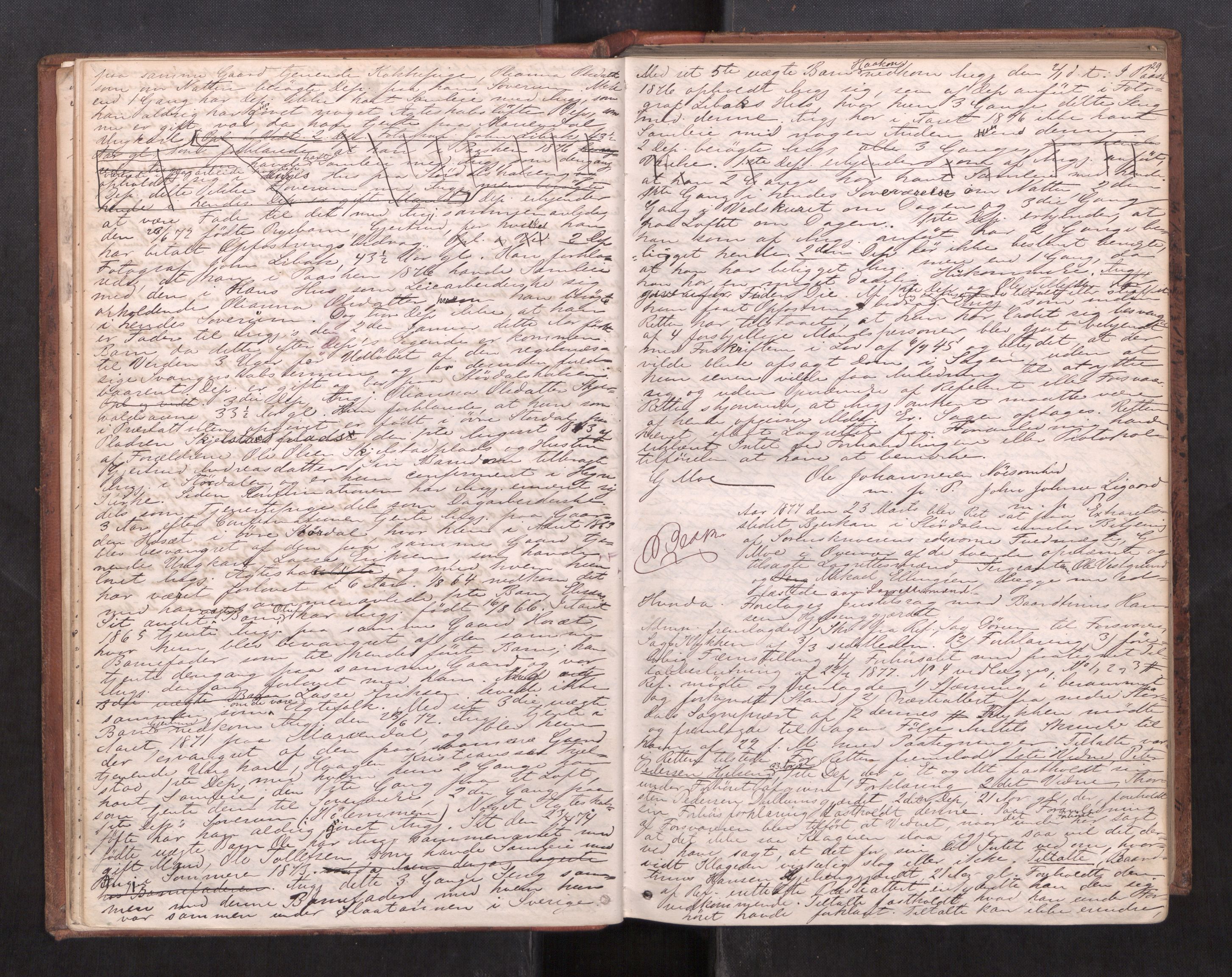 Stjør- og Verdal sorenskriveri, AV/SAT-A-4167/1/1/1B/L0029: Ekstrarettsprotokoll, 1876-1887, p. 28b-29a