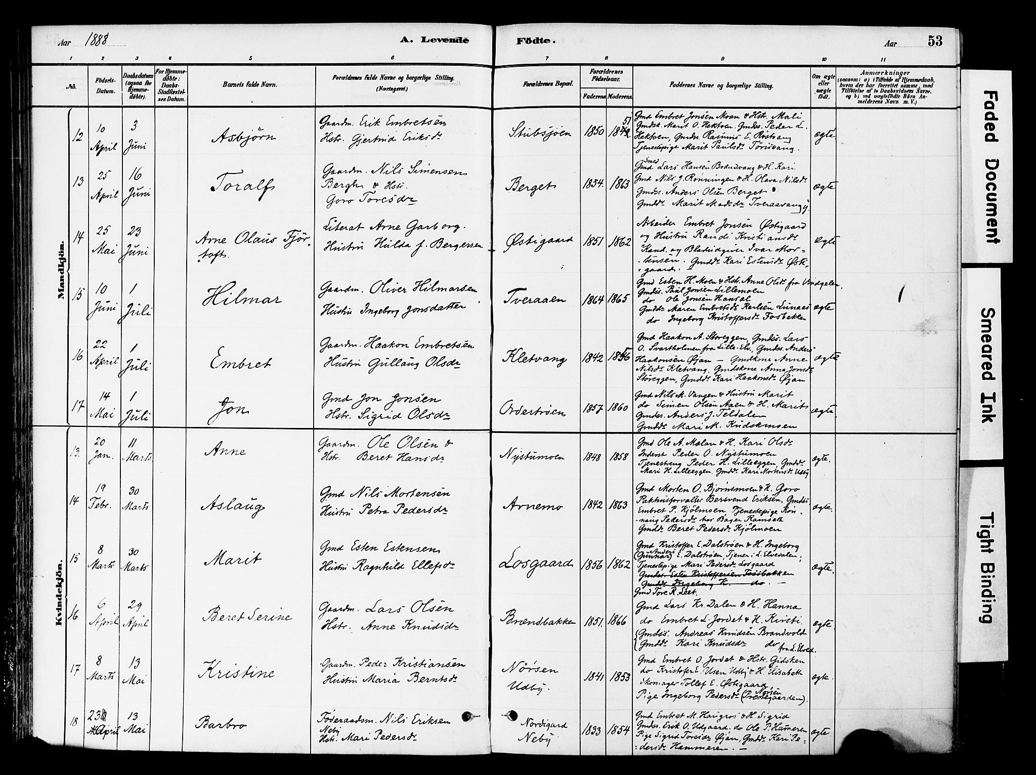 Tynset prestekontor, SAH/PREST-058/H/Ha/Haa/L0022: Parish register (official) no. 22, 1880-1899, p. 53