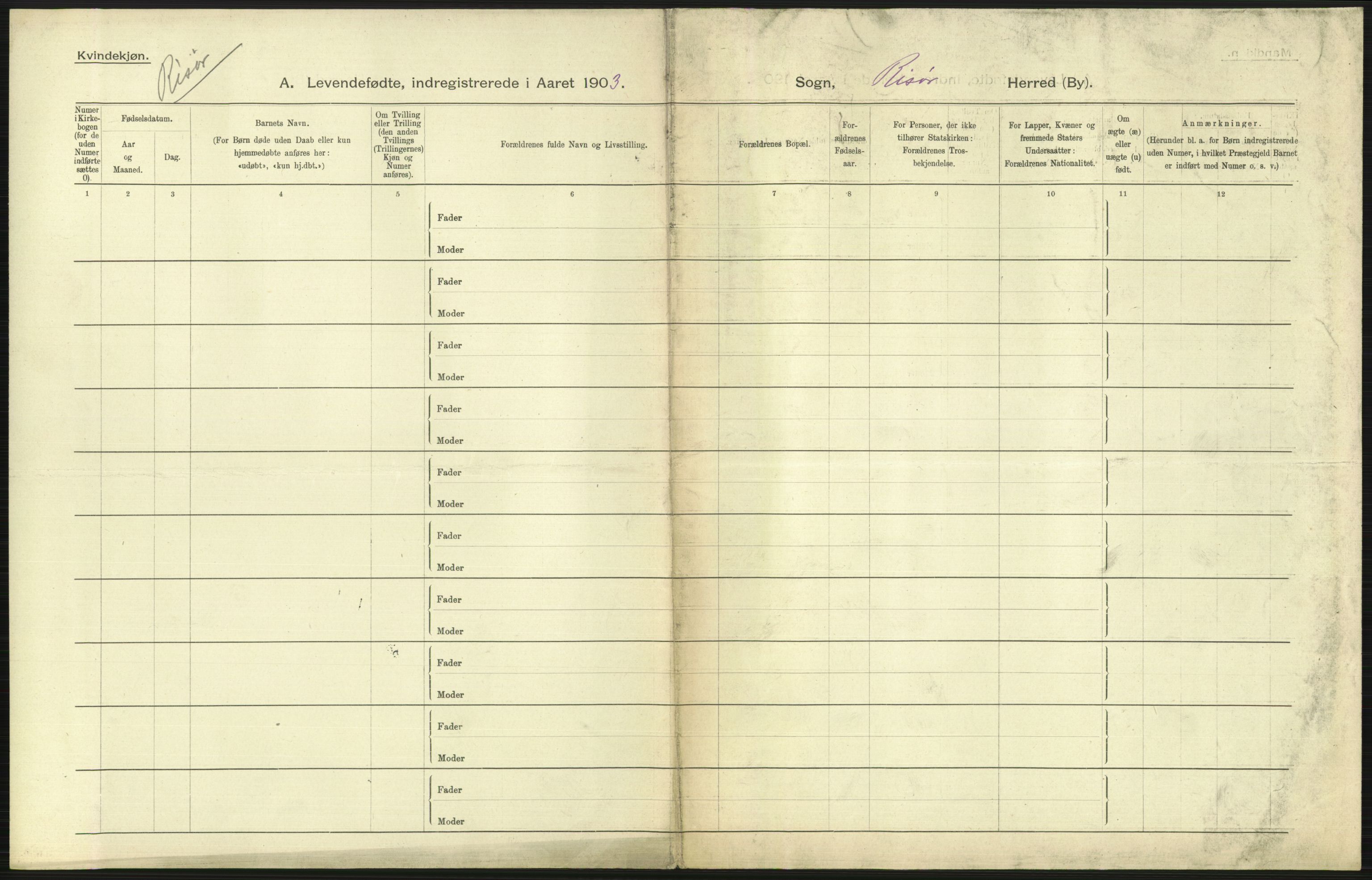 Statistisk sentralbyrå, Sosiodemografiske emner, Befolkning, AV/RA-S-2228/D/Df/Dfa/Dfaa/L0010: Nedenes amt: Fødte, gifte, døde, 1903, p. 205