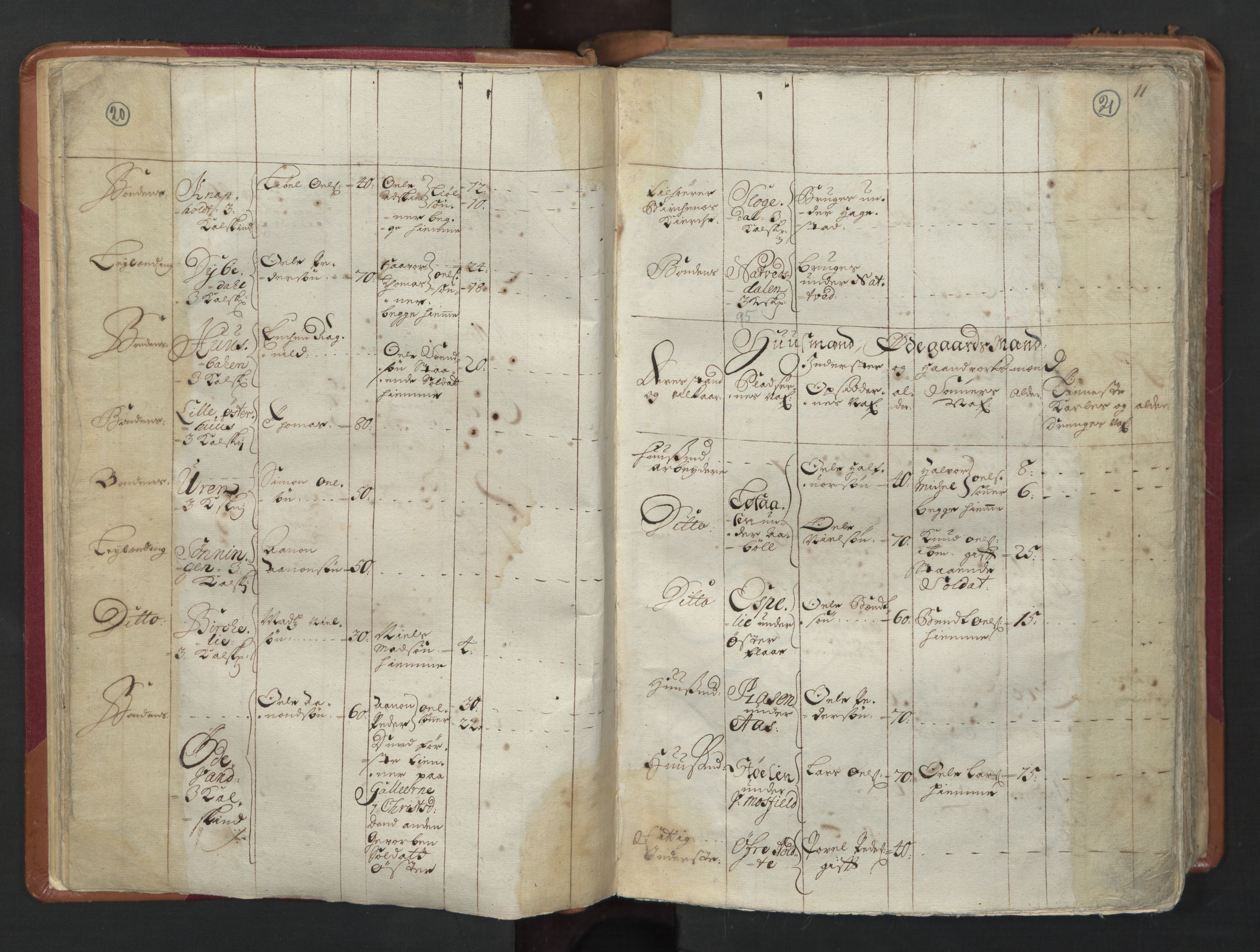 RA, Census (manntall) 1701, no. 3: Nedenes fogderi, 1701, p. 20-21