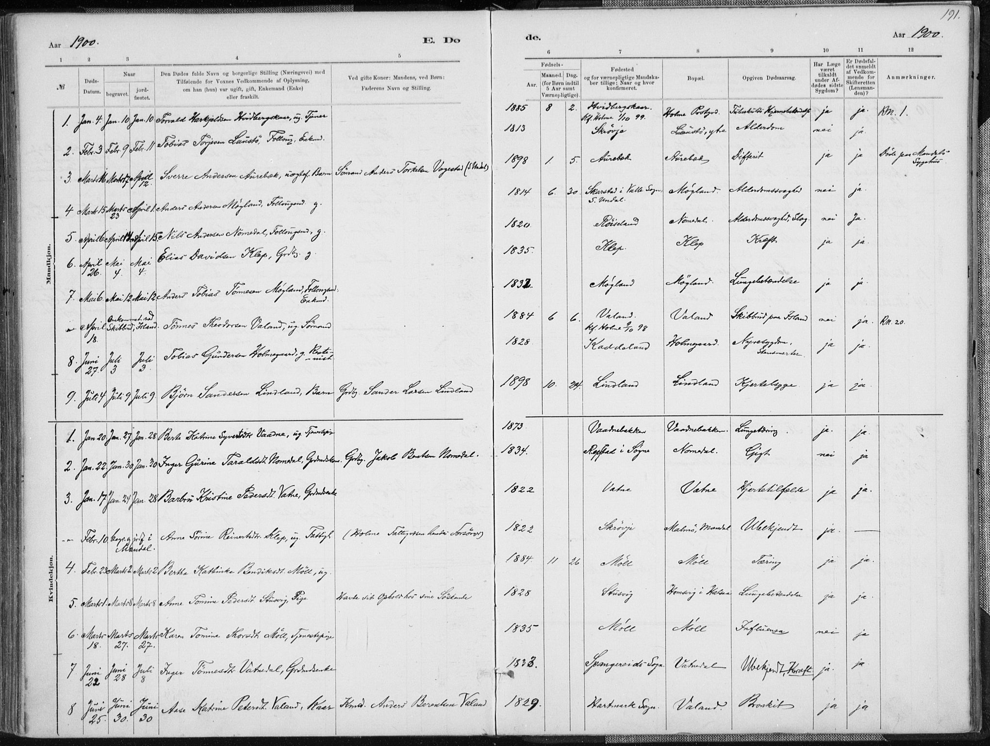 Holum sokneprestkontor, SAK/1111-0022/F/Fa/Faa/L0007: Parish register (official) no. A 7, 1884-1907, p. 191