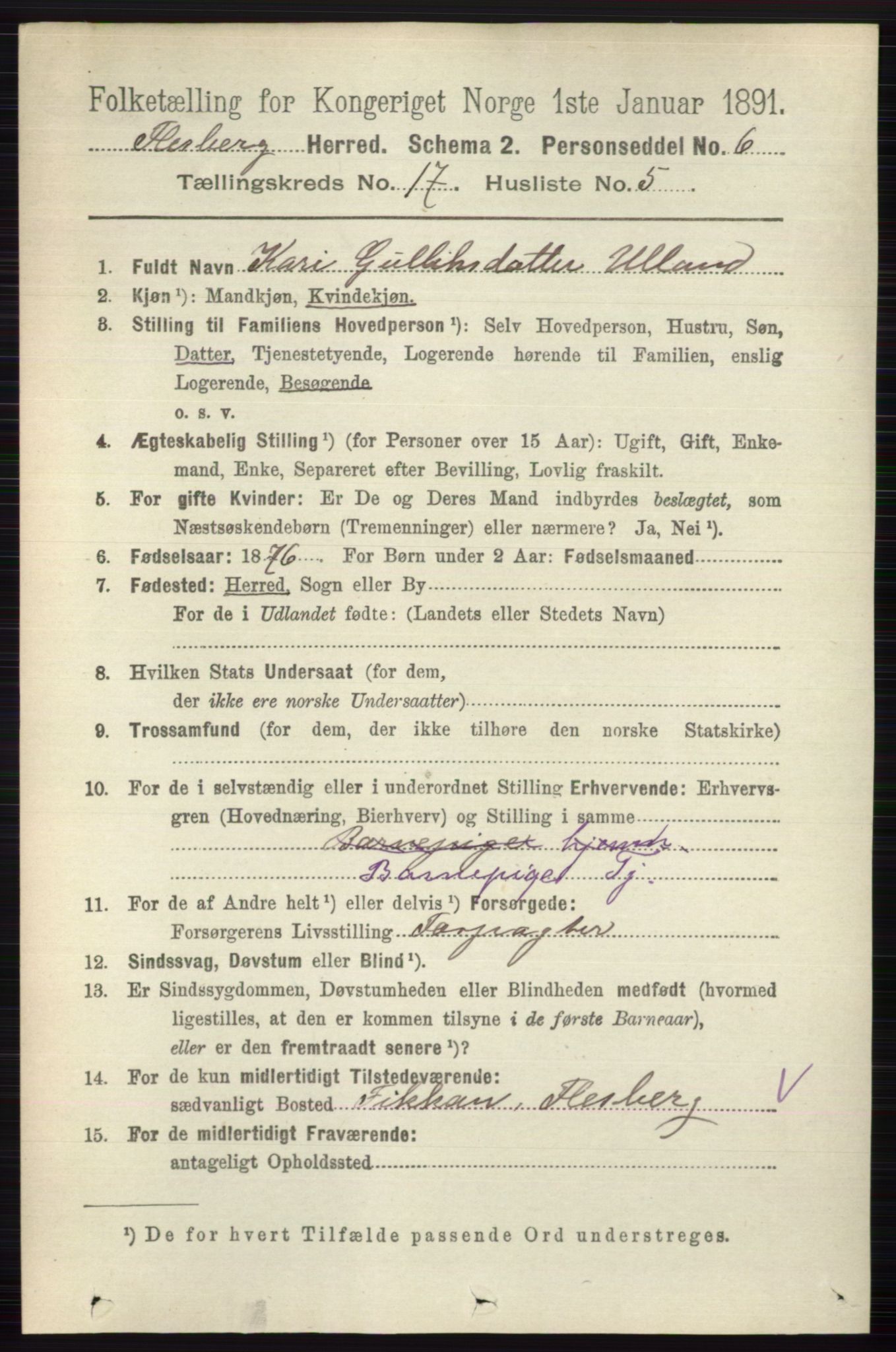 RA, 1891 census for 0631 Flesberg, 1891, p. 3009