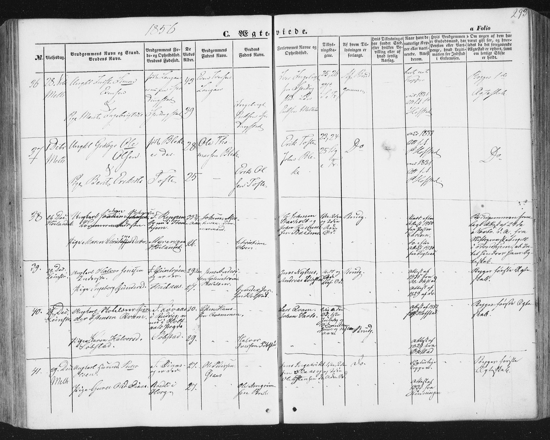 Ministerialprotokoller, klokkerbøker og fødselsregistre - Sør-Trøndelag, SAT/A-1456/691/L1076: Parish register (official) no. 691A08, 1852-1861, p. 293