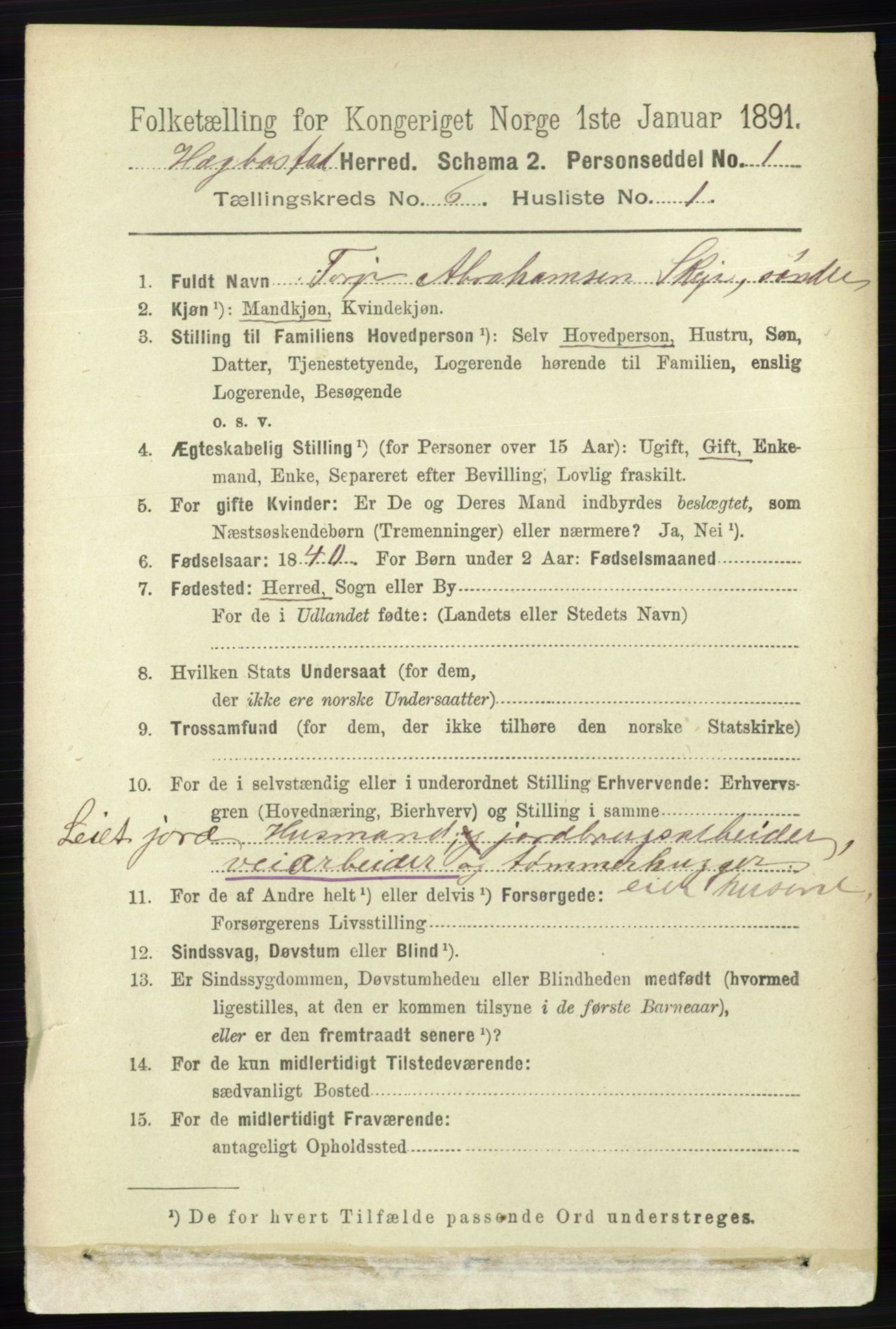 RA, 1891 census for 1034 Hægebostad, 1891, p. 1844