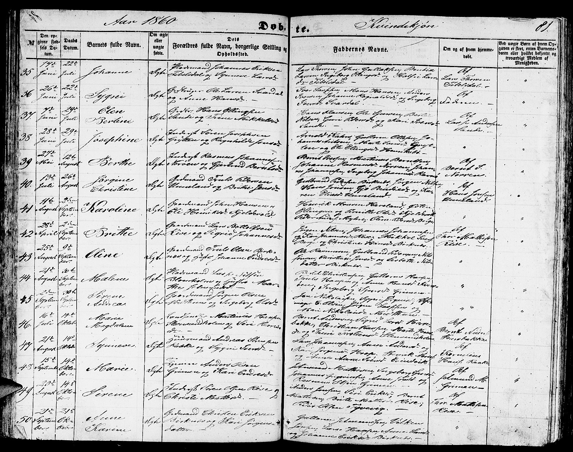 Gulen sokneprestembete, AV/SAB-A-80201/H/Hab/Habb/L0001: Parish register (copy) no. B 1, 1854-1866, p. 81