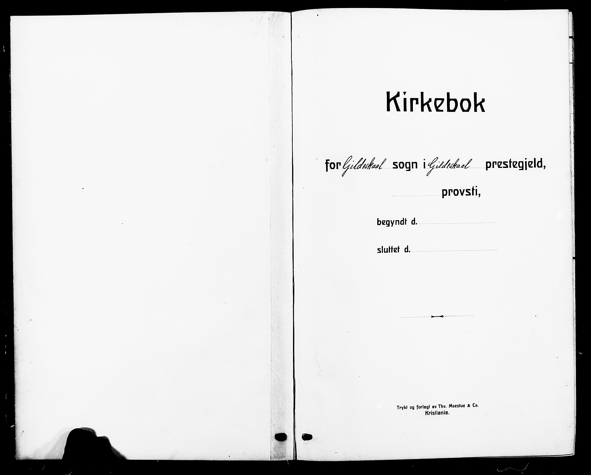 Ministerialprotokoller, klokkerbøker og fødselsregistre - Nordland, SAT/A-1459/805/L0110: Parish register (copy) no. 805C06, 1909-1924