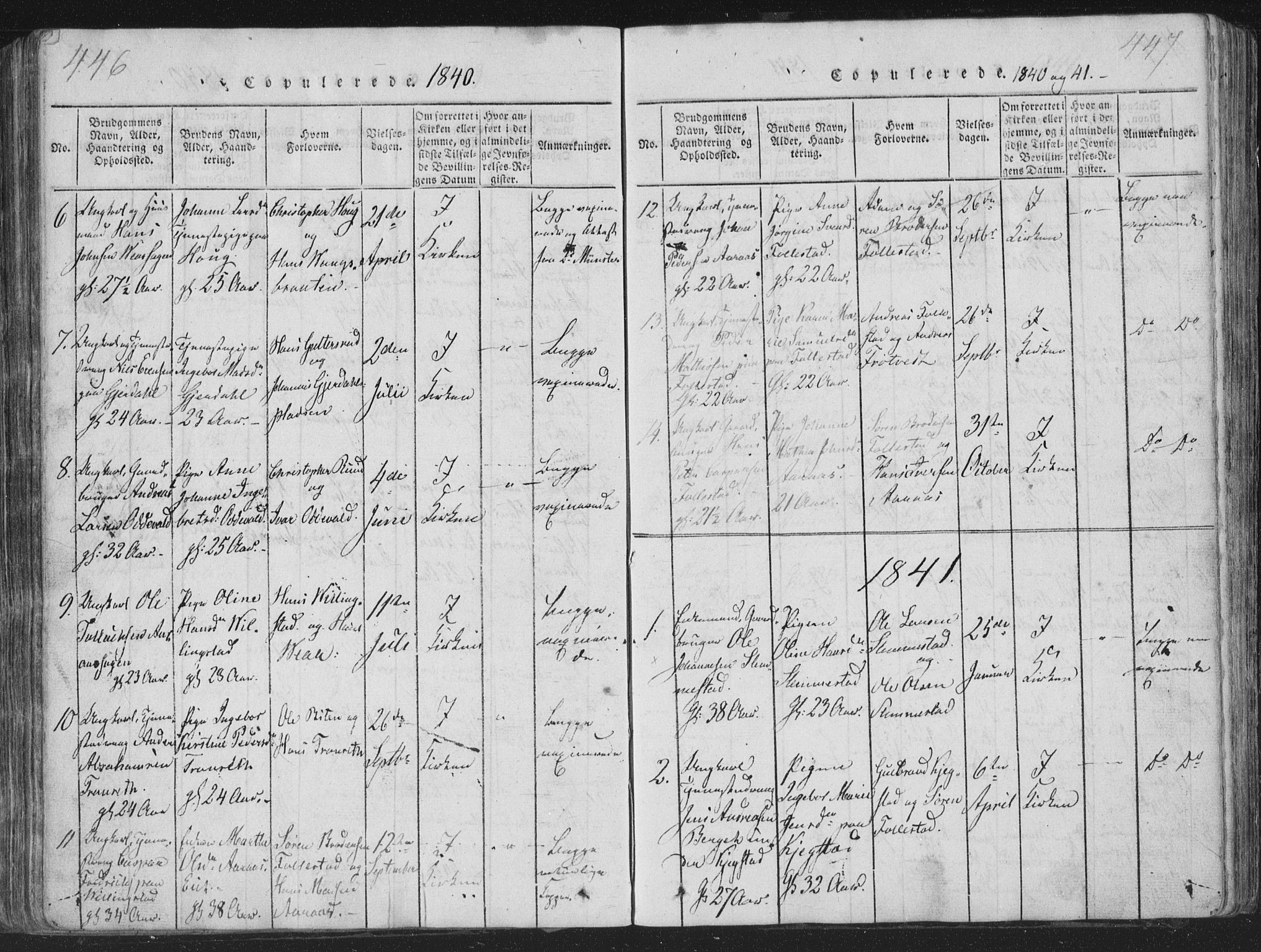 Røyken kirkebøker, AV/SAKO-A-241/G/Ga/L0003: Parish register (copy) no. 3, 1814-1856, p. 446-447