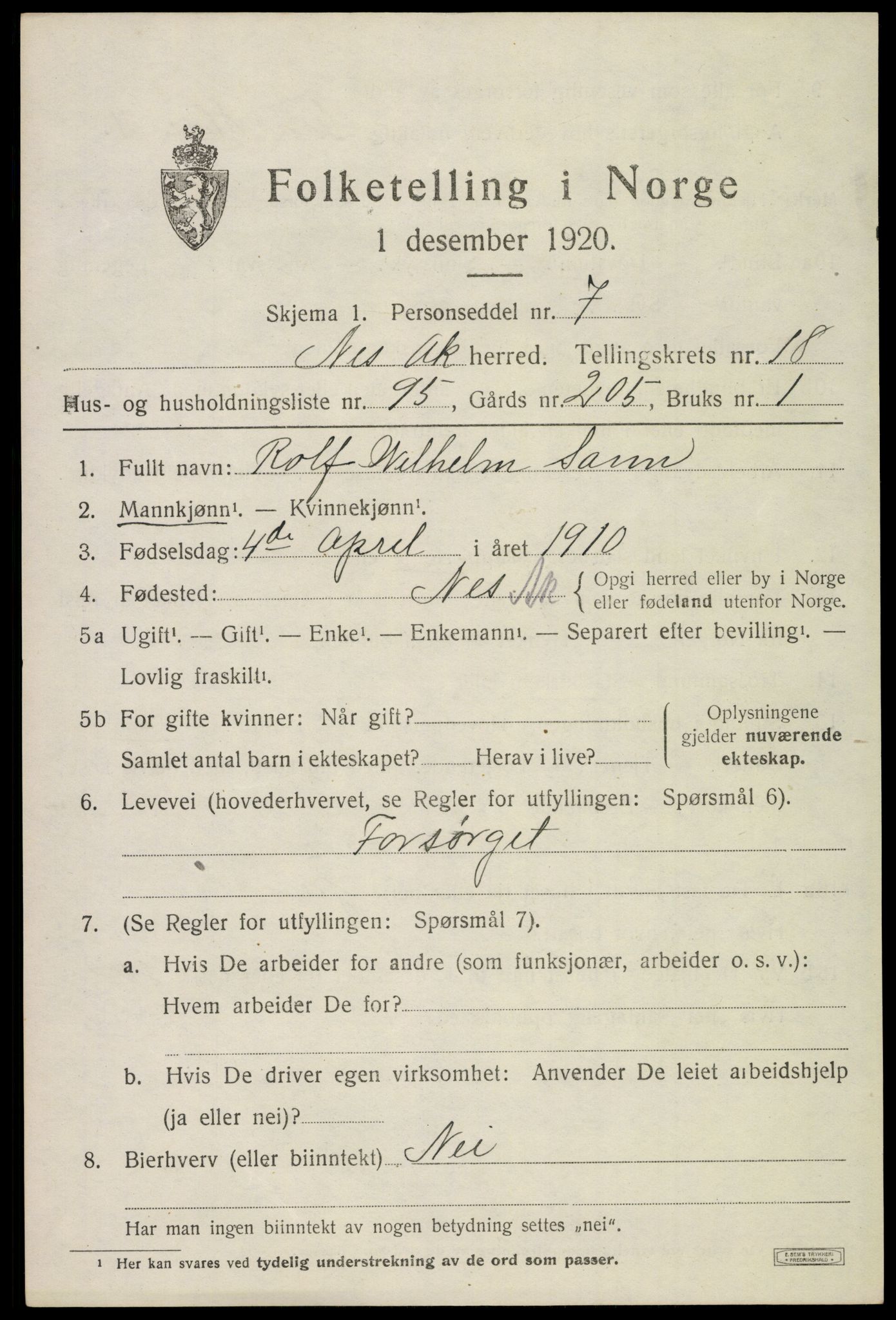 SAO, 1920 census for Nes, 1920, p. 18884