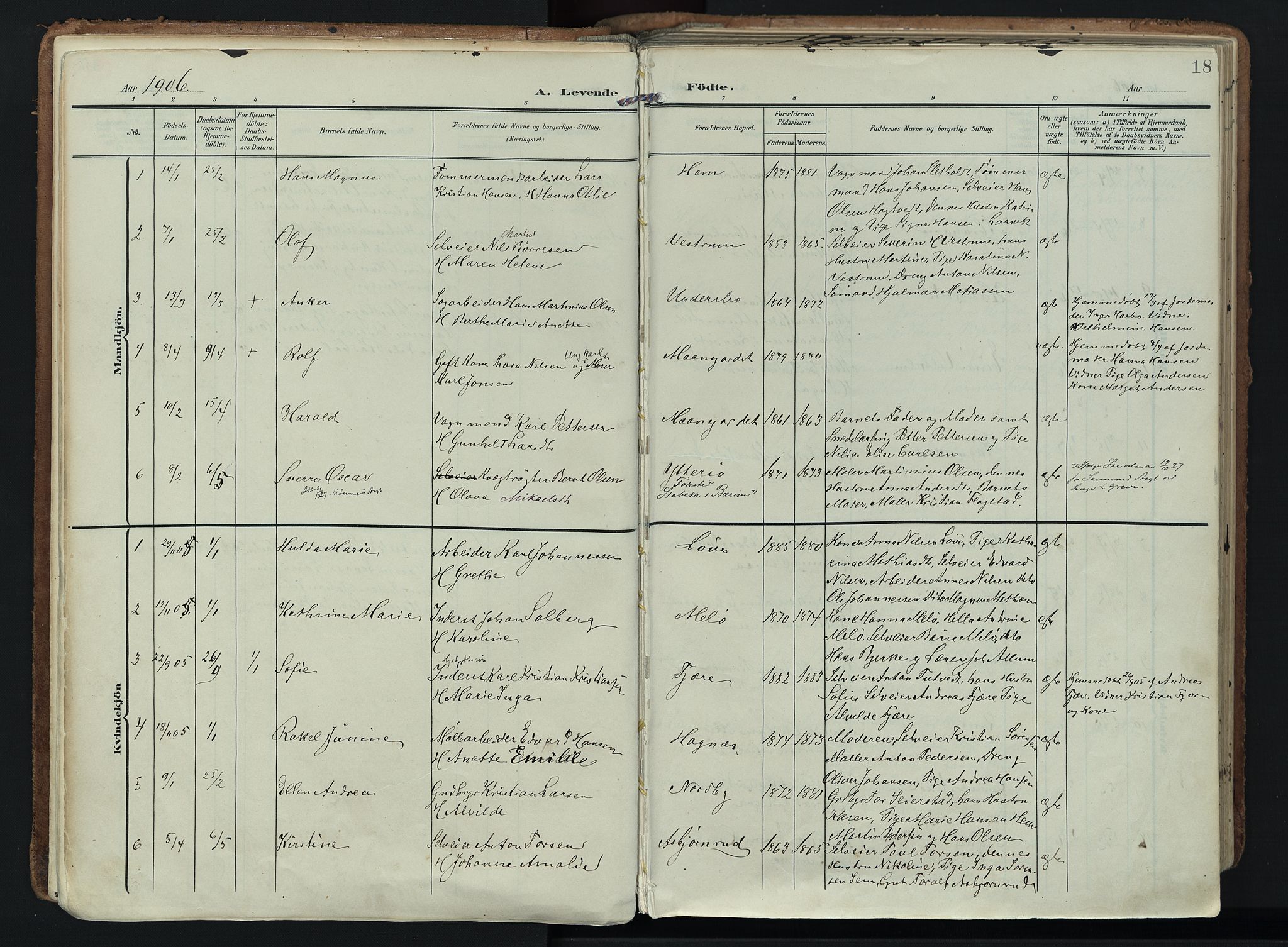 Hedrum kirkebøker, SAKO/A-344/F/Fa/L0010: Parish register (official) no. I 10, 1904-1918, p. 18