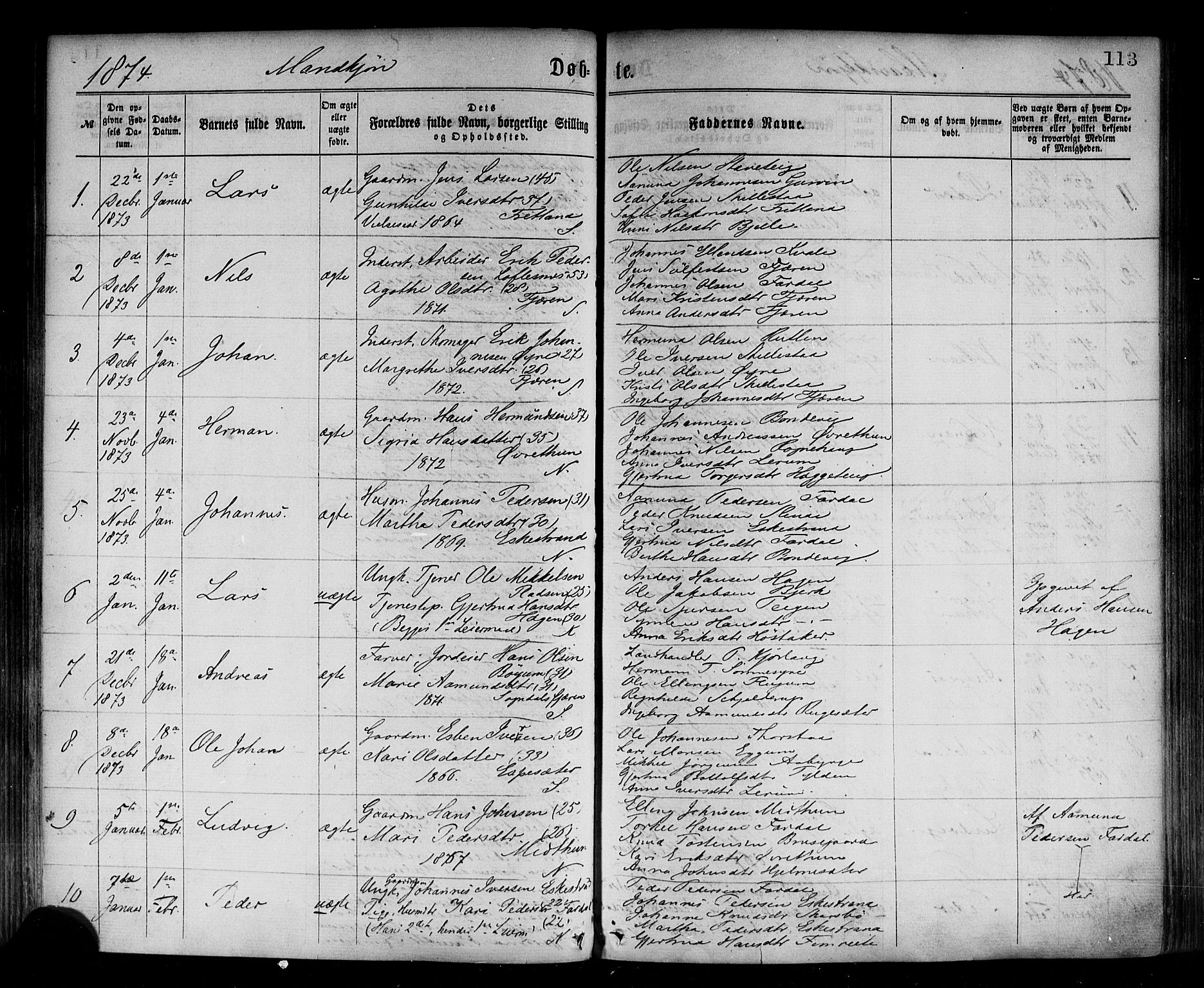 Sogndal sokneprestembete, SAB/A-81301/H/Haa/Haaa/L0014: Parish register (official) no. A 14, 1864-1877, p. 113
