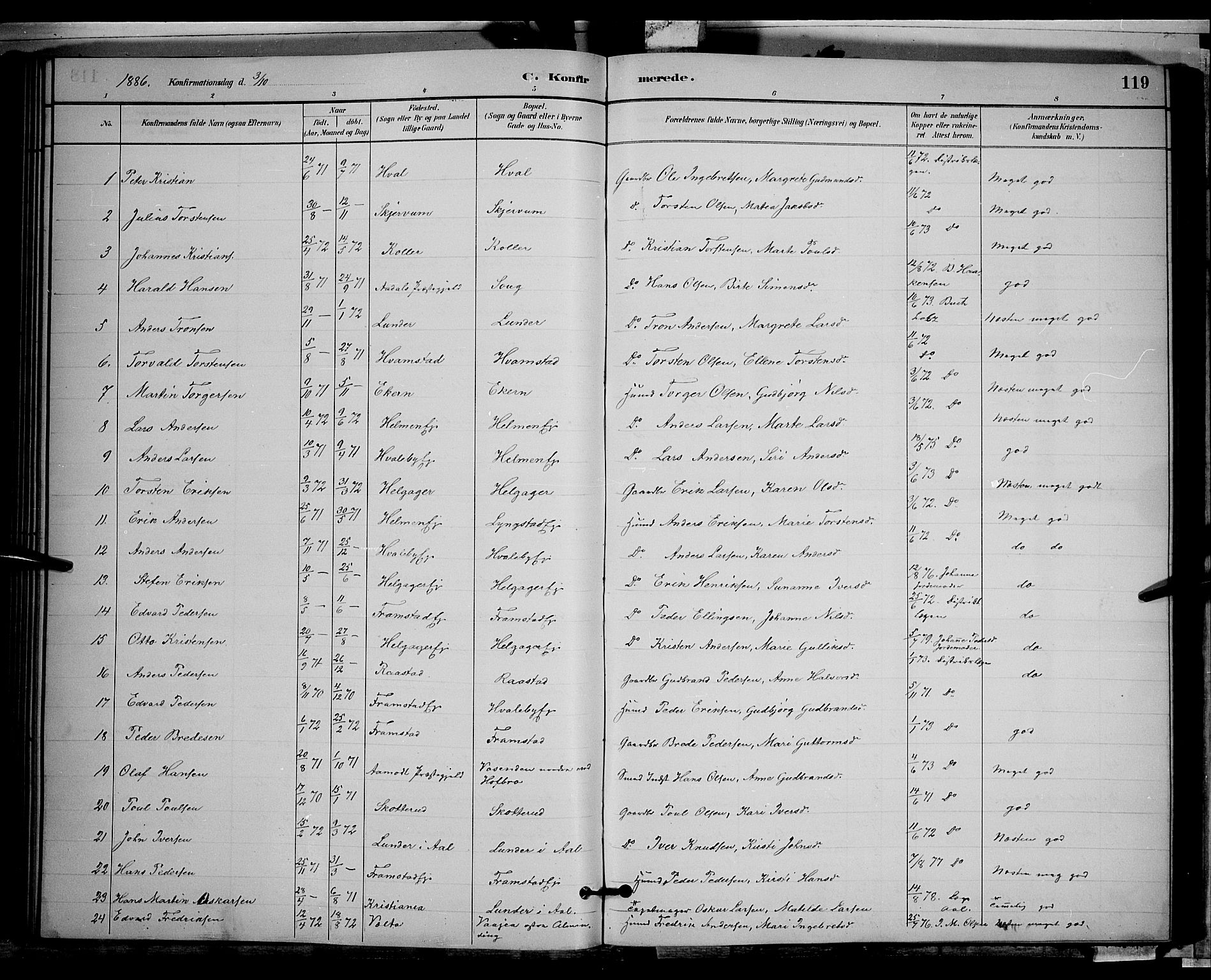 Gran prestekontor, SAH/PREST-112/H/Ha/Hab/L0002: Parish register (copy) no. 2, 1879-1892, p. 119