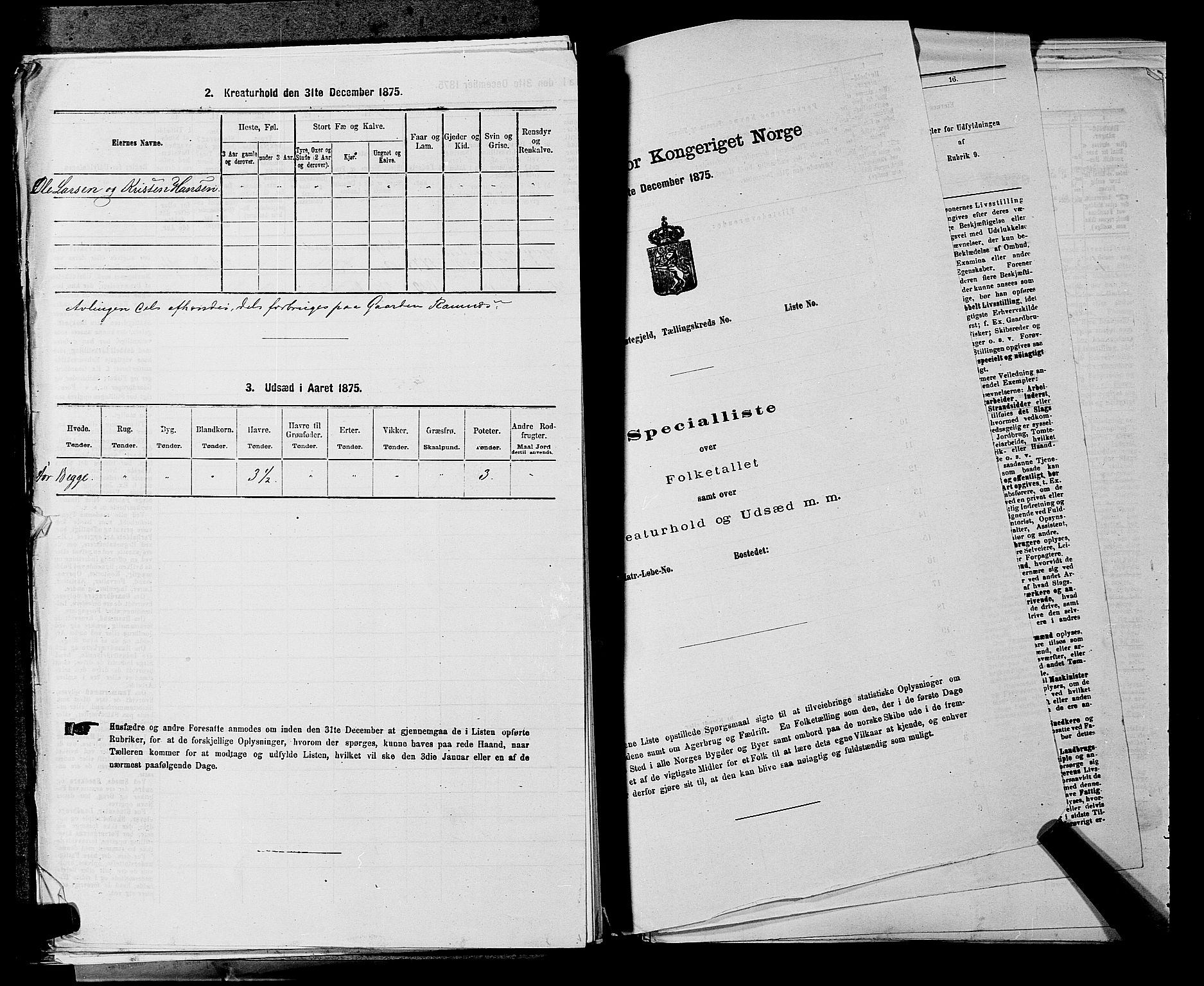 SAKO, 1875 census for 0718P Ramnes, 1875, p. 440