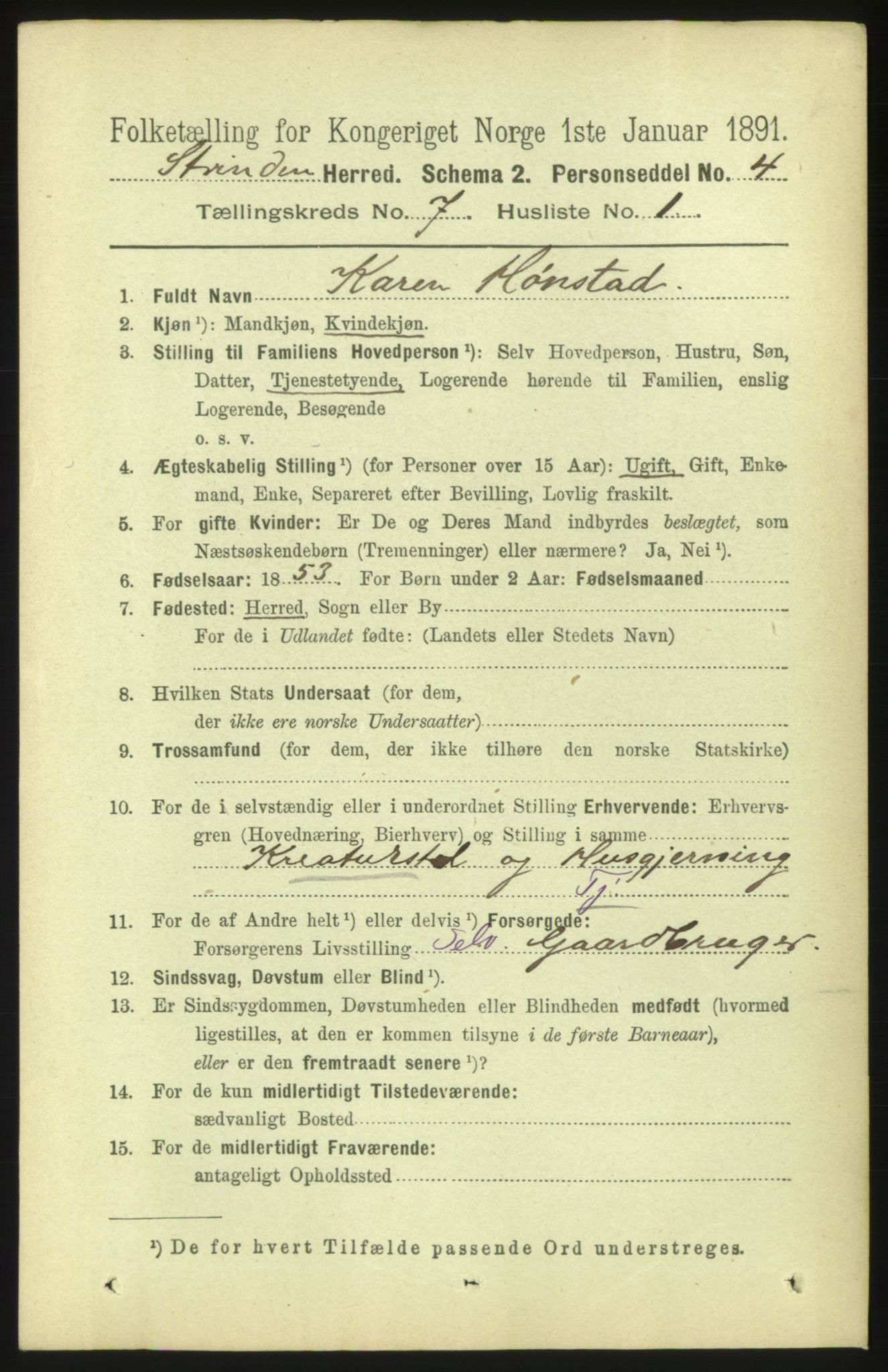 RA, 1891 census for 1660 Strinda, 1891, p. 6262