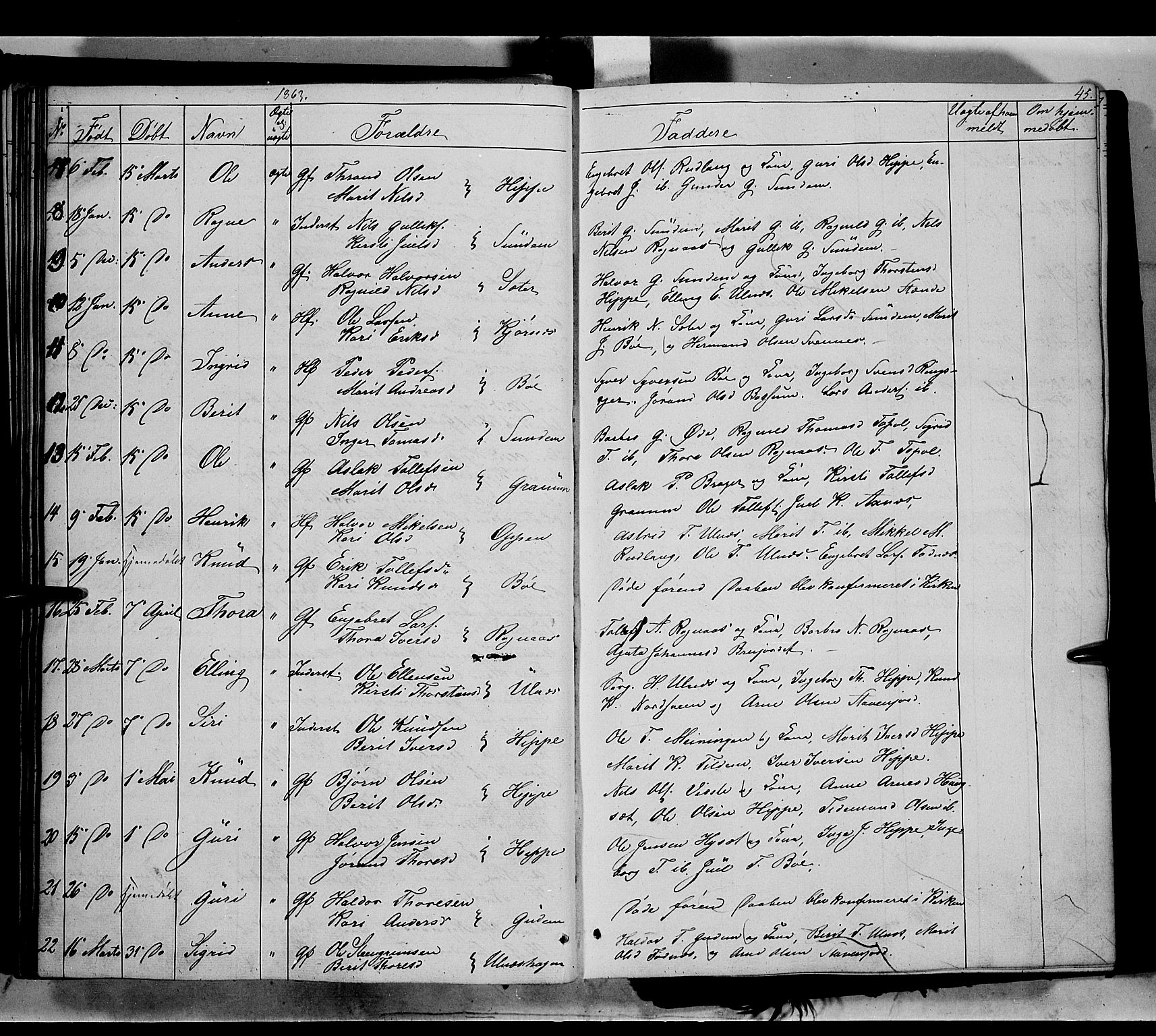 Nord-Aurdal prestekontor, SAH/PREST-132/H/Ha/Haa/L0006: Parish register (official) no. 6, 1842-1863, p. 45