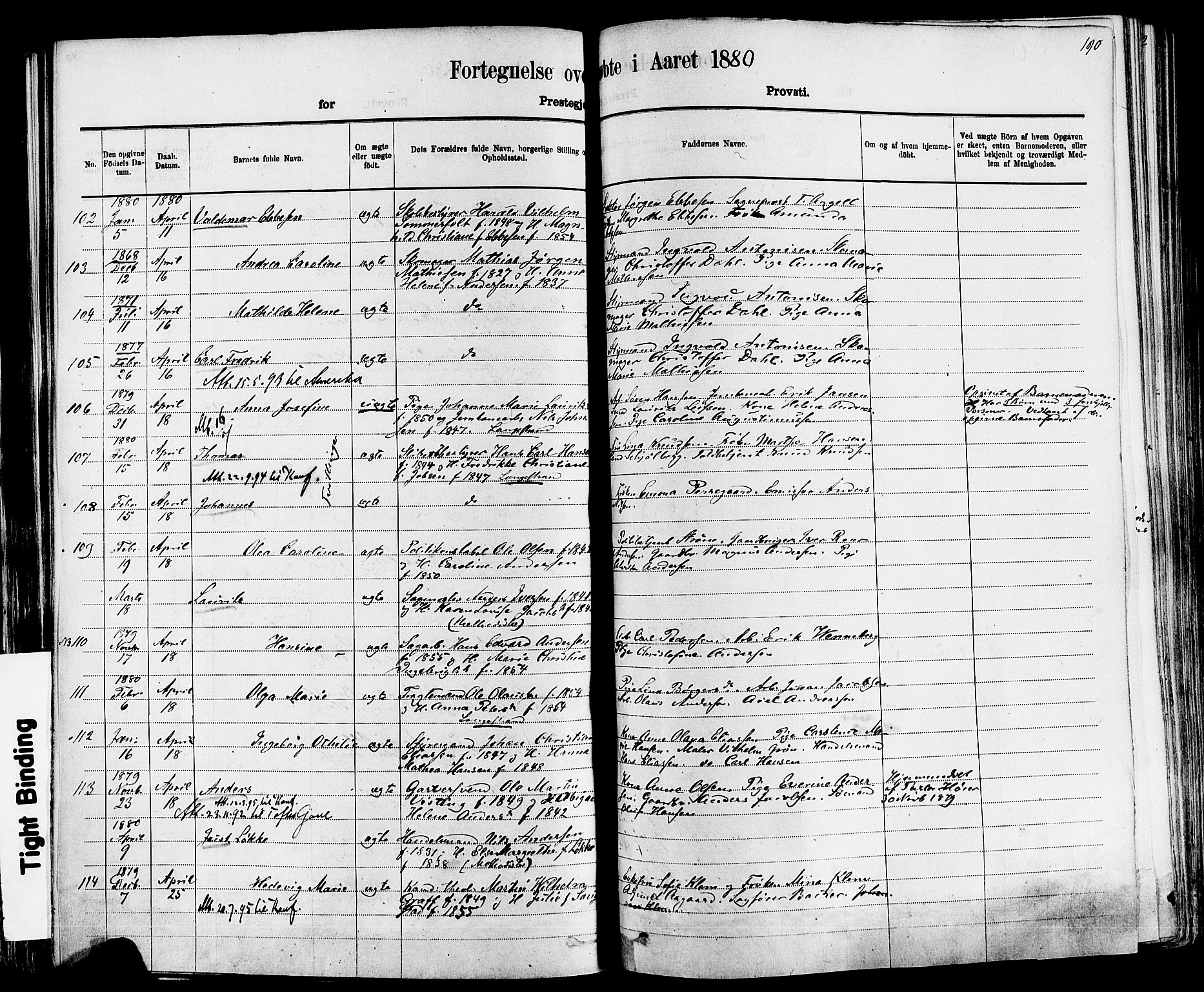 Larvik kirkebøker, AV/SAKO-A-352/F/Fa/L0006: Parish register (official) no. I 6, 1871-1883, p. 190