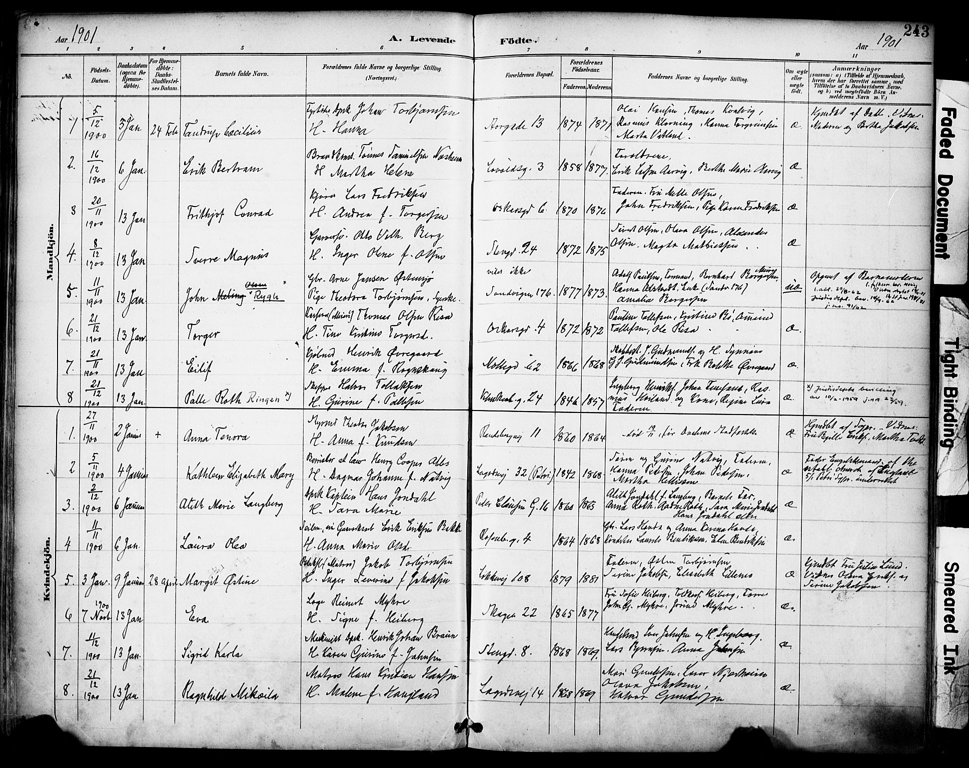 Domkirken sokneprestkontor, SAST/A-101812/001/30/30BA/L0030: Parish register (official) no. A 29, 1889-1902, p. 243