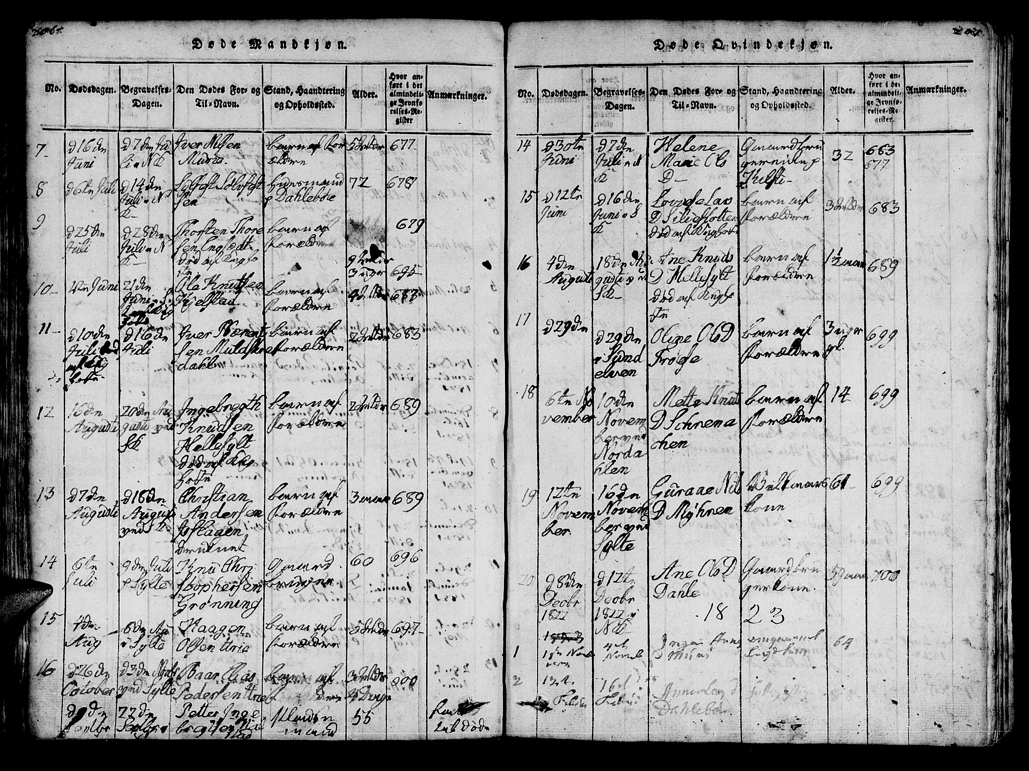 Ministerialprotokoller, klokkerbøker og fødselsregistre - Møre og Romsdal, SAT/A-1454/519/L0246: Parish register (official) no. 519A05, 1817-1834, p. 206-207