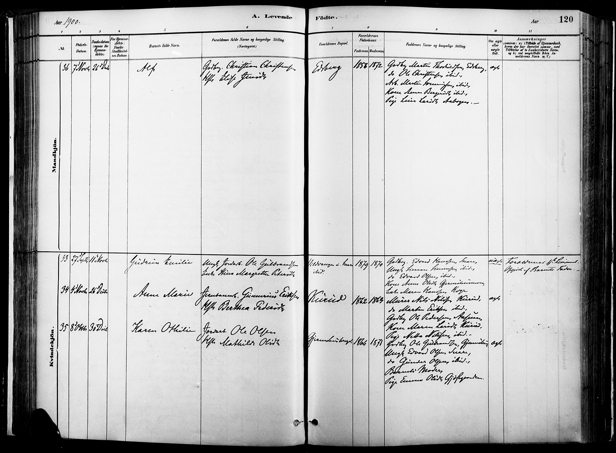 Vinger prestekontor, AV/SAH-PREST-024/H/Ha/Haa/L0014: Parish register (official) no. 14, 1881-1900, p. 120
