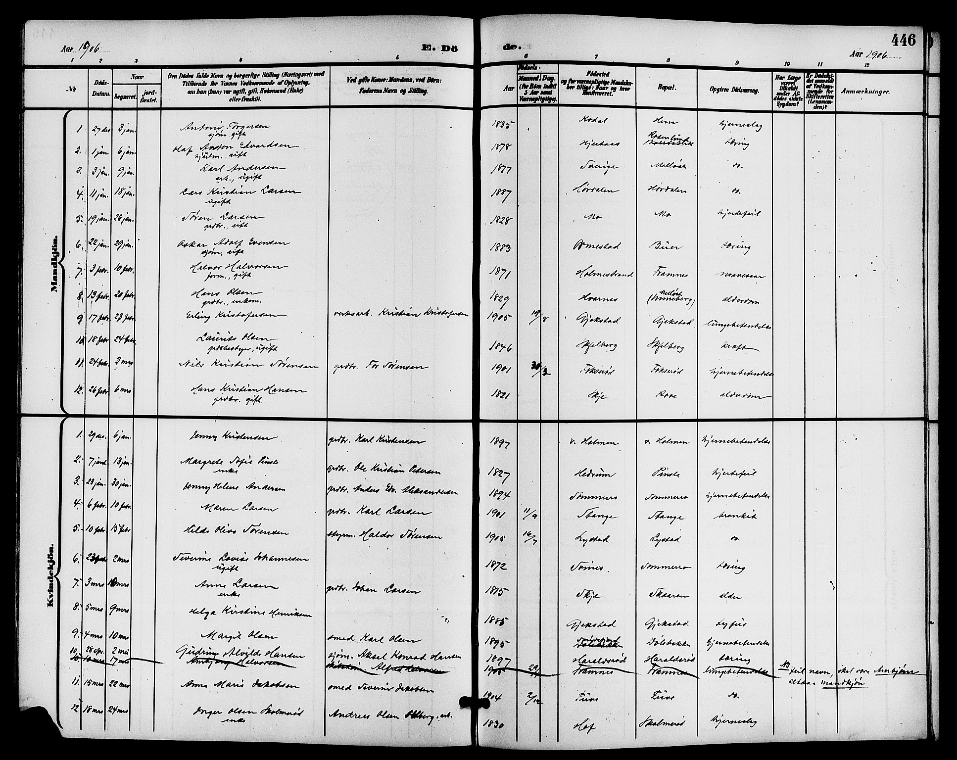 Sandar kirkebøker, AV/SAKO-A-243/G/Ga/L0002: Parish register (copy) no. 2, 1900-1915, p. 446