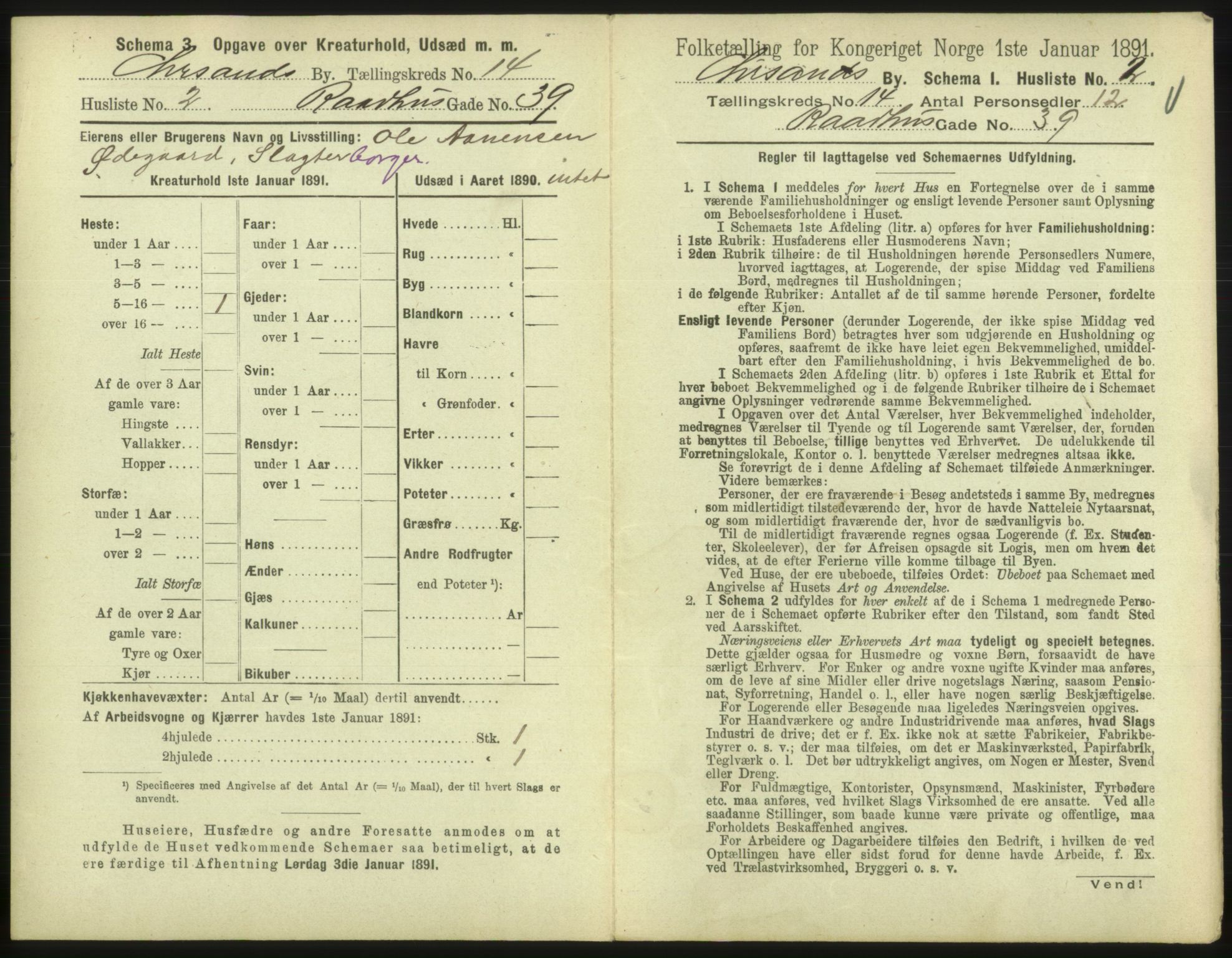 RA, 1891 census for 1001 Kristiansand, 1891, p. 890