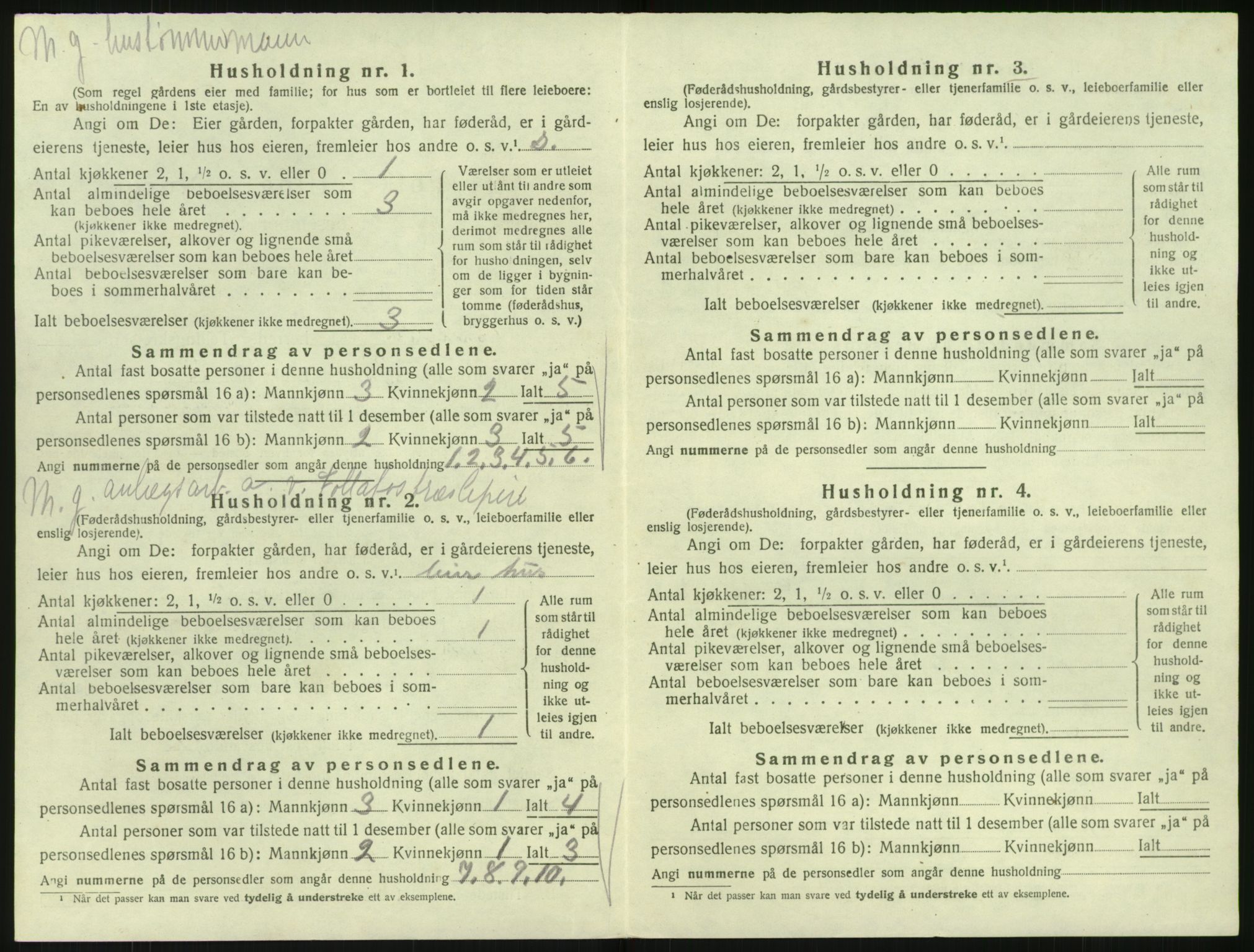 SAK, 1920 census for Søndeled, 1920, p. 950