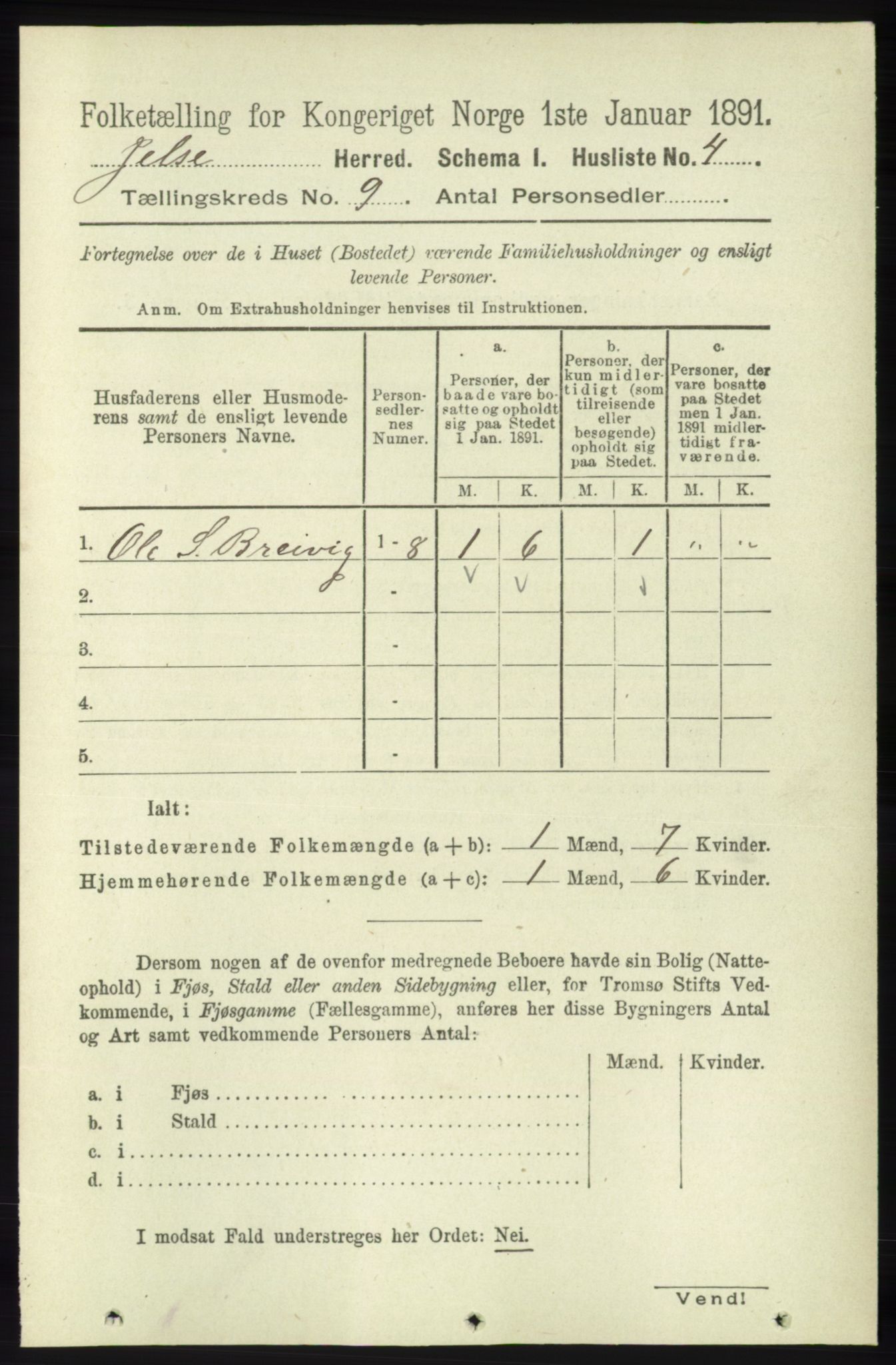 RA, 1891 census for 1138 Jelsa, 1891, p. 2006